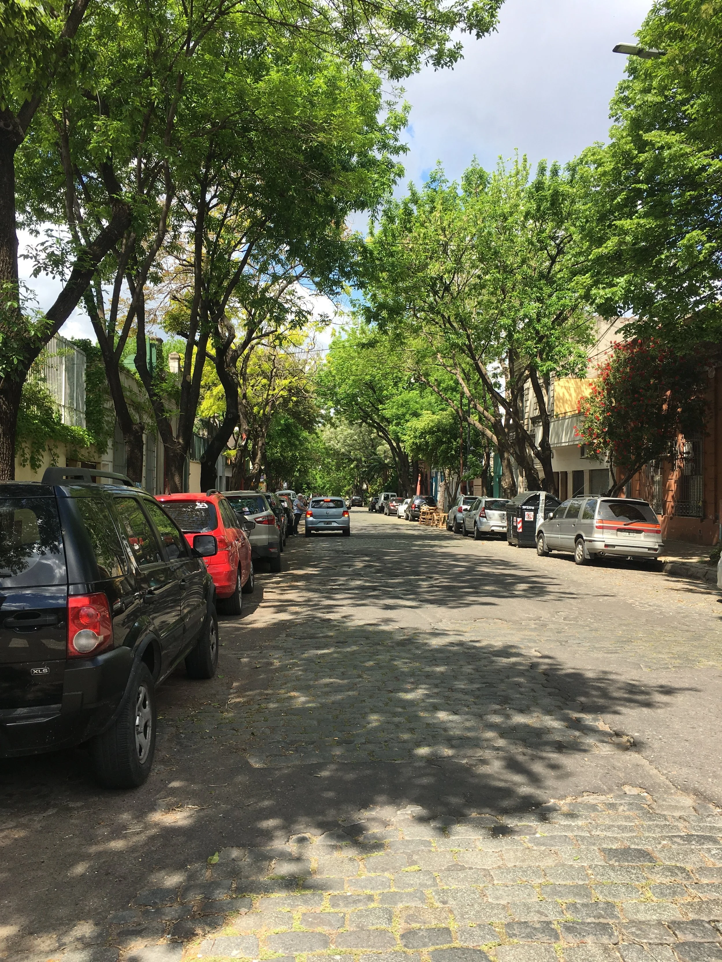 calle local chacarita.jpeg