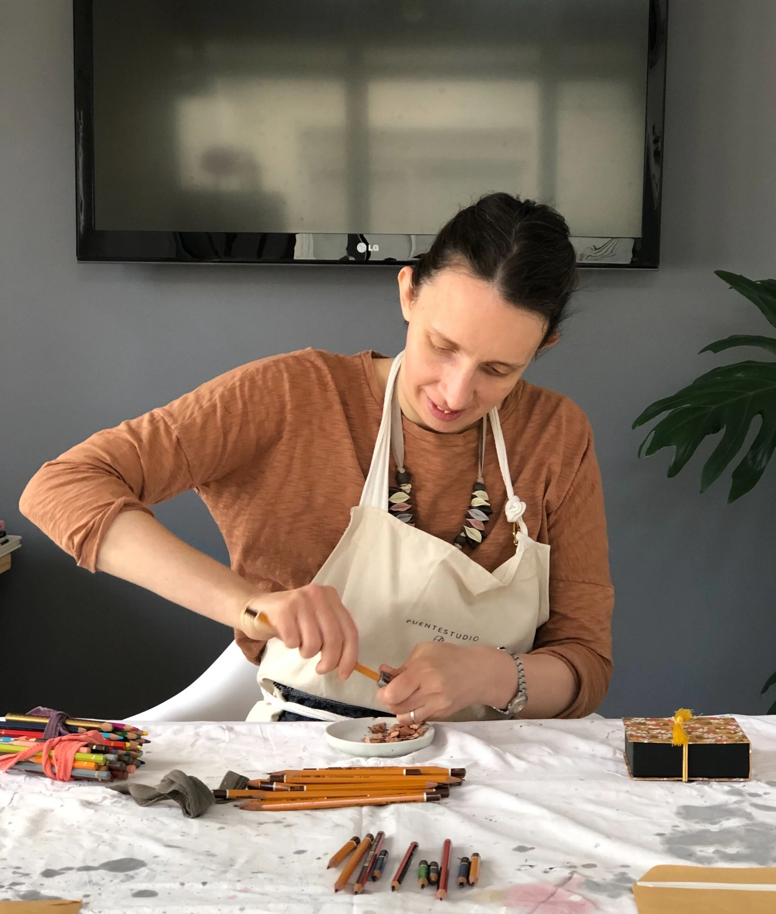 Cecilia Borghi en Puentestudio