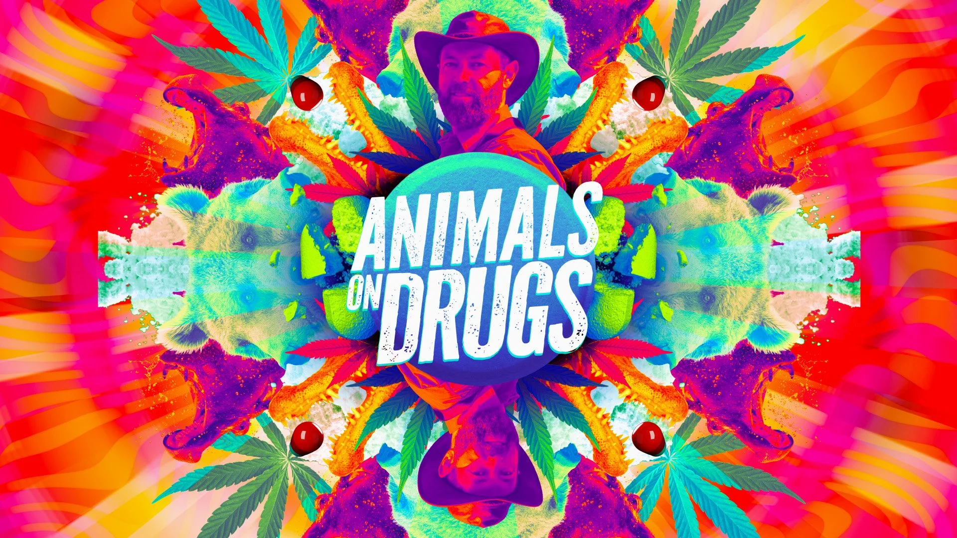 Disc_Animals on Drugs.jpg