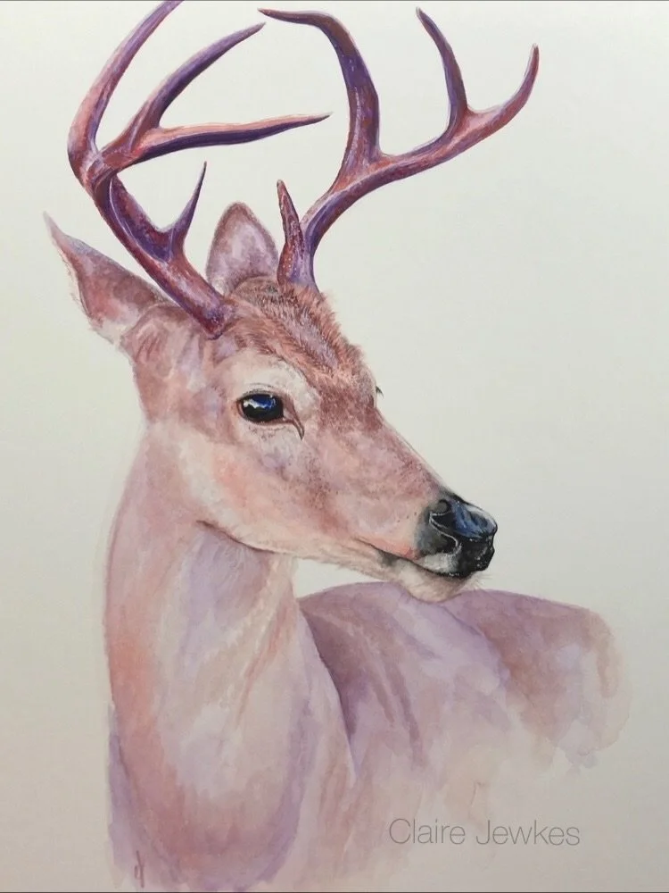 Some of the paintings and creations that still whisper to me, the pieces I return to when I need to remember who I am.

Thank you for loving them as much as I do.
✨🪶

#ClaireJewkesArt #WitchyArt #GothicArt
#ArtWithSoul #WatercolourArtist #DarkAesthe