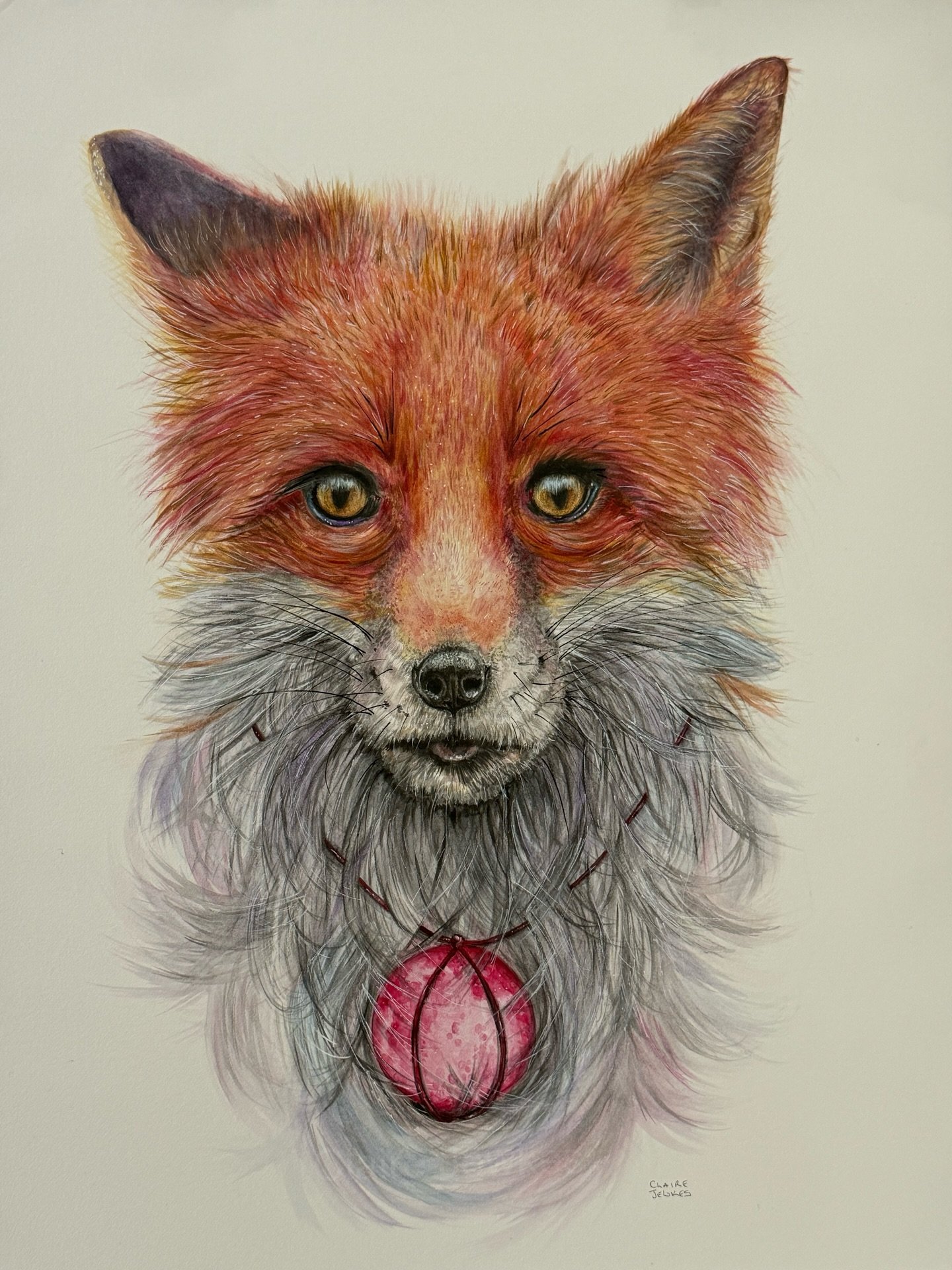 Framing to come&hellip;..

There is a fox that visits my garden, you may have seen, she&rsquo;s been sick this year, I&rsquo;m trying to help her, she takes the medicine I leave, the honey, the nuts and protein, I watch for her at night, if I&rsquo;m