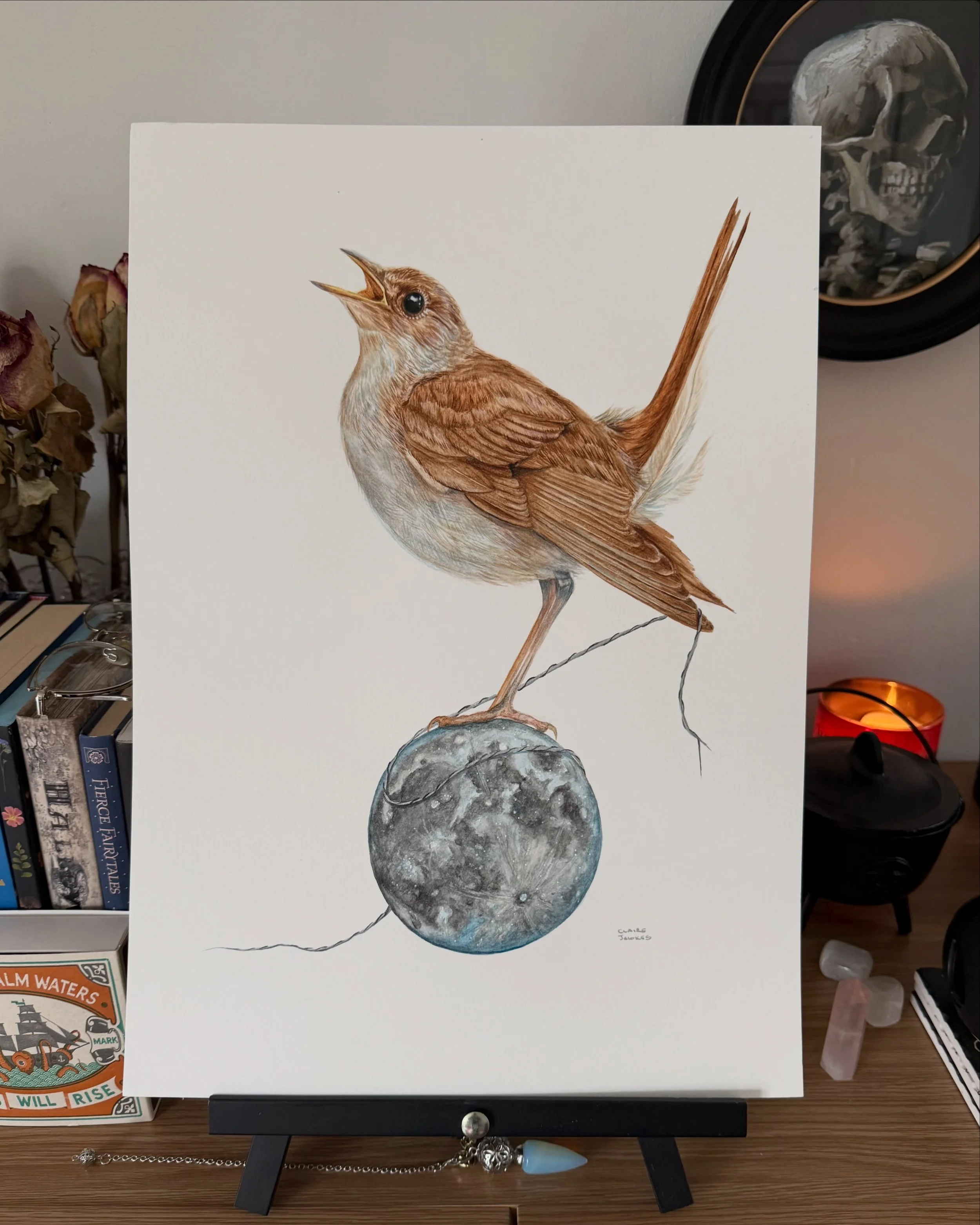 New to my Moon collection, I kept her hidden for a while, just for me.  Nightingale is her title, that&rsquo;s all she needs, a watercolour painting that will have its first sighting at @lpoolartfair this summer. 

The Nightingale stands upon its moo