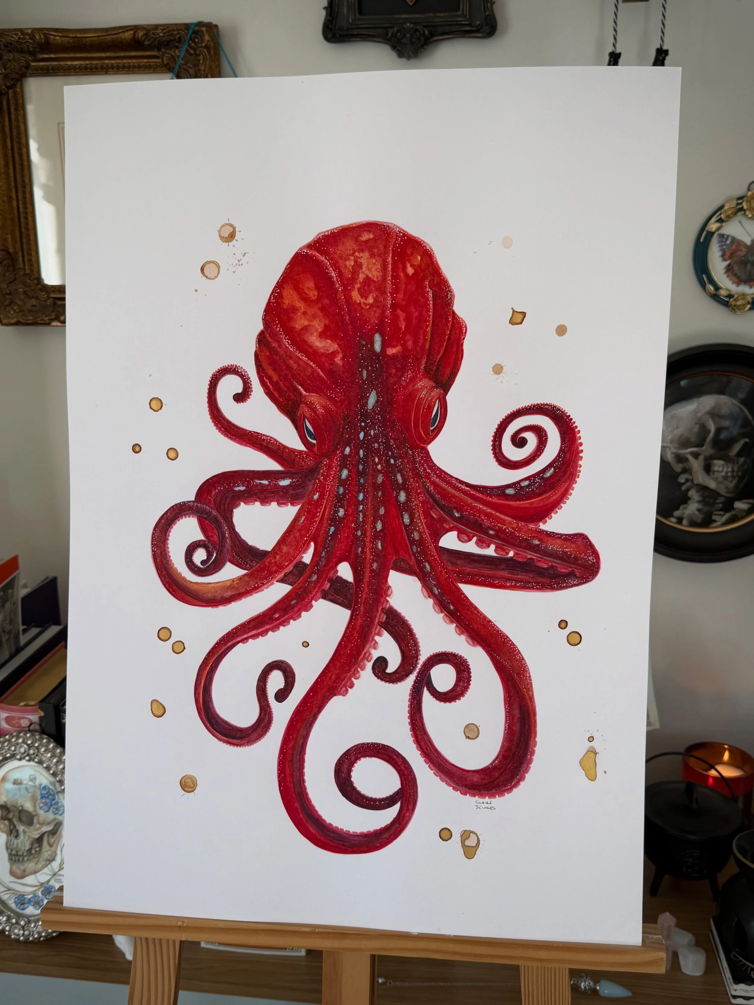 When I paint from any reference, I tend to go off piste, my imagination takes over and the creature becomes, not so much unrealistic, they become themselves.  Creatures that never existed until I put them on paper, until I dipped my brush in magic an