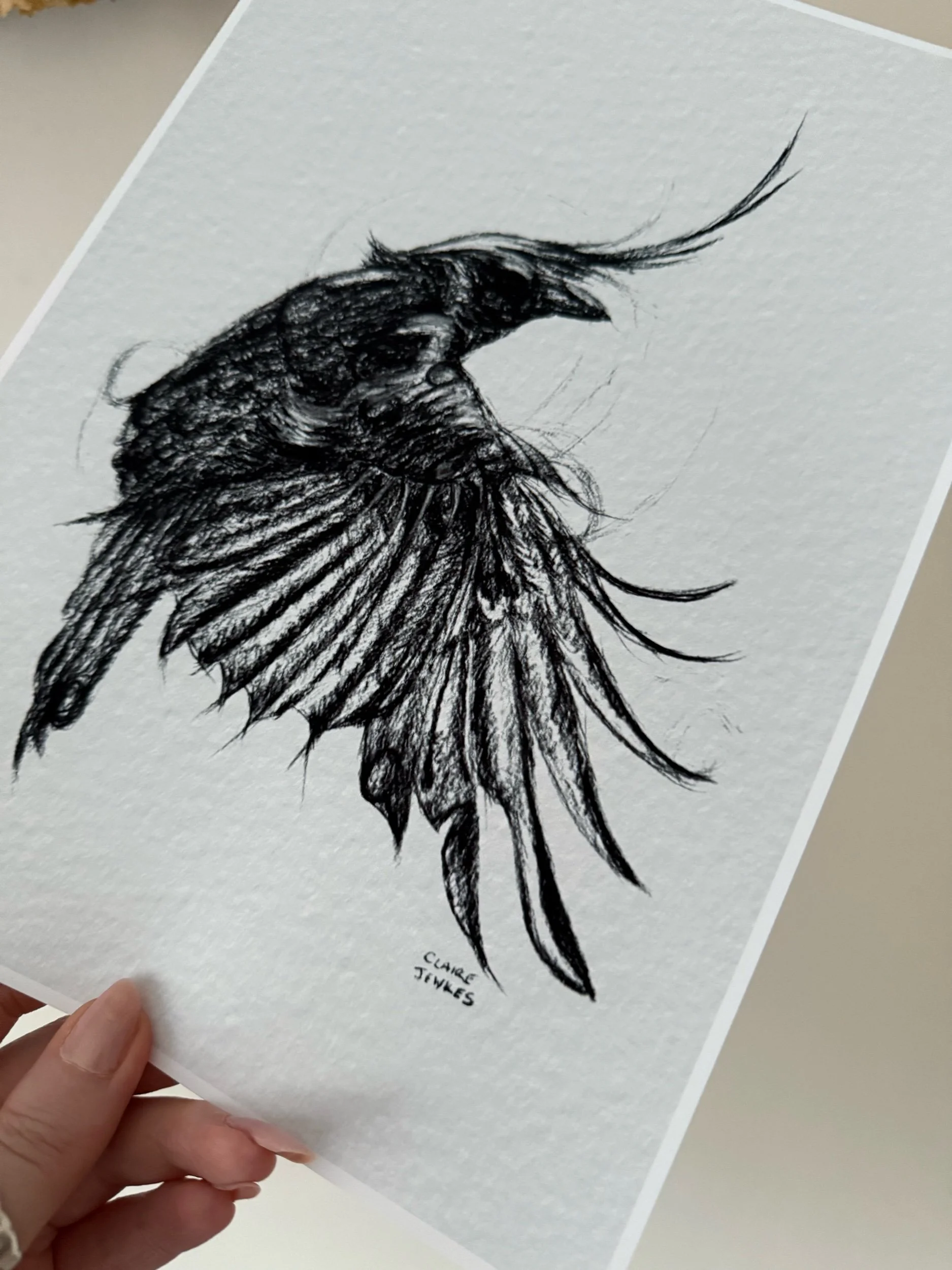 65A52641-CC18-446C-8F58-4FC5C924E080.jpeg