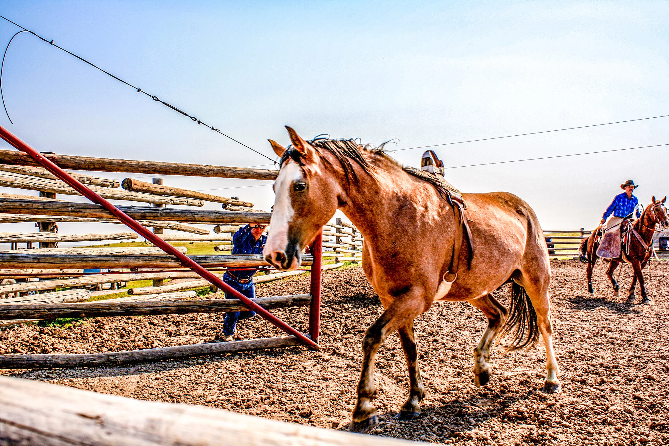 Bares &amp; Broncs Fall 2020