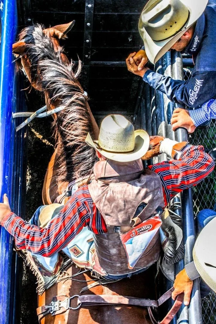 Bares and Broncs Fall 22