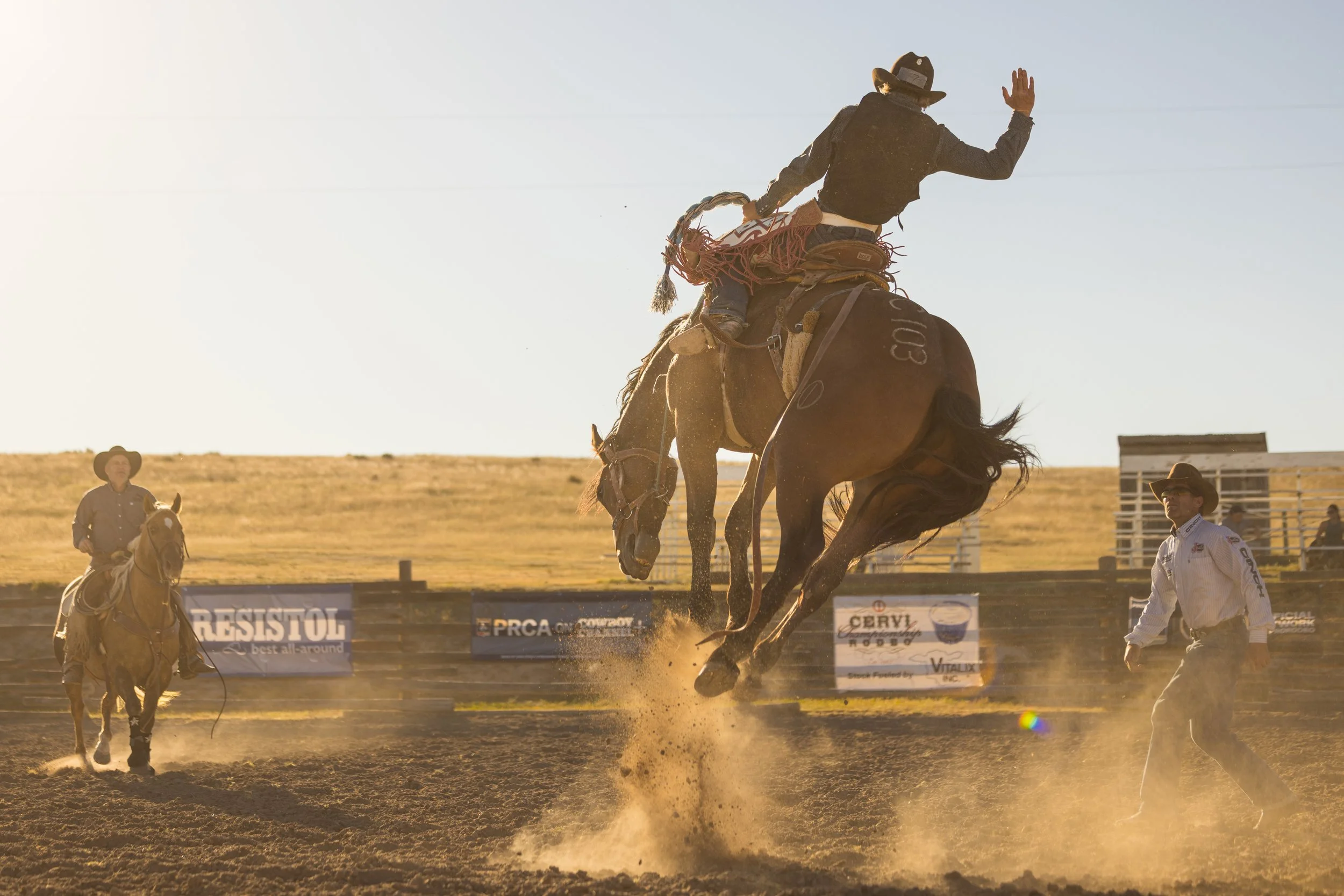 Bares & Broncs Fall Clinic 2025