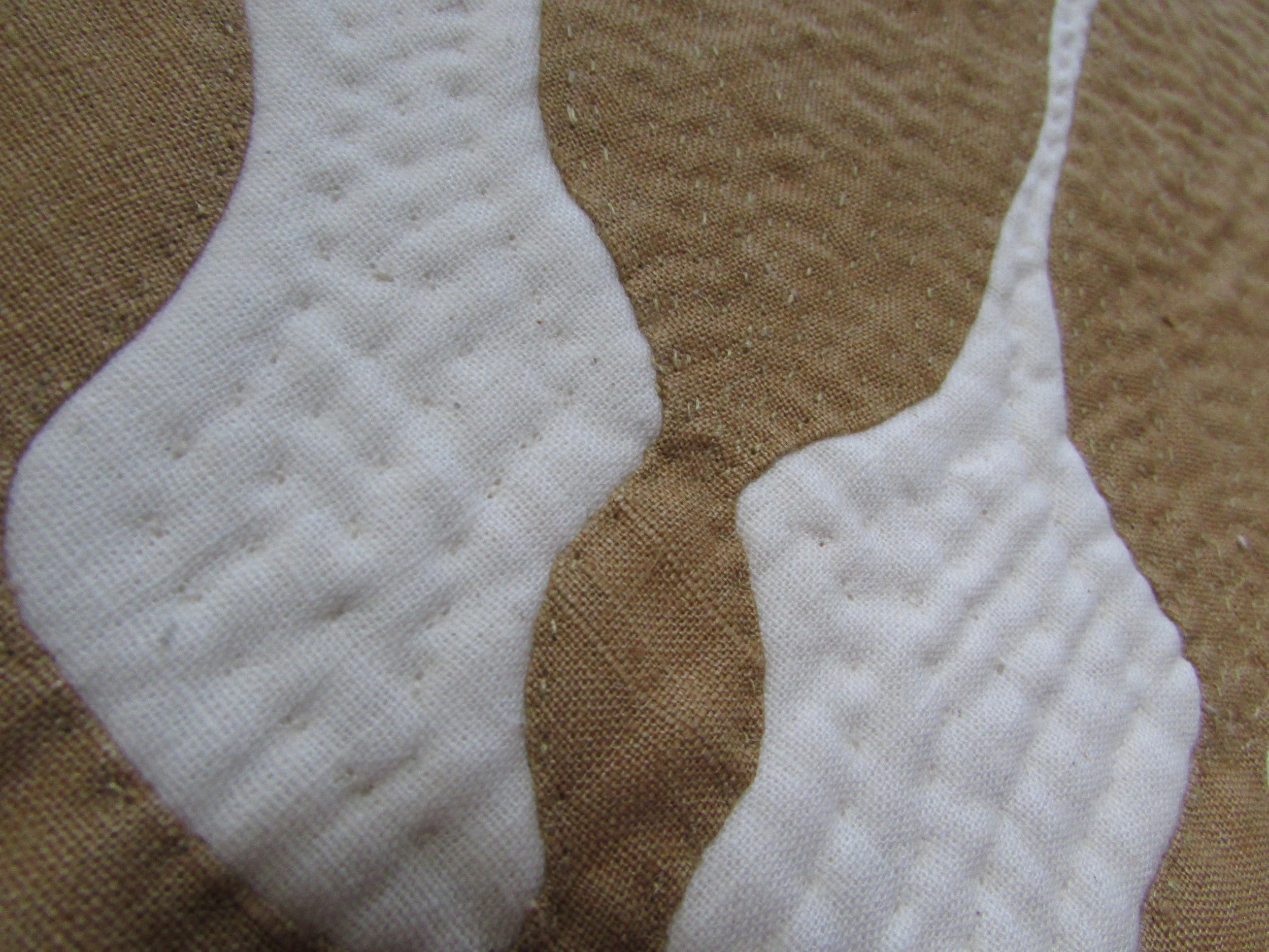 Vertical seaweed close up.JPG