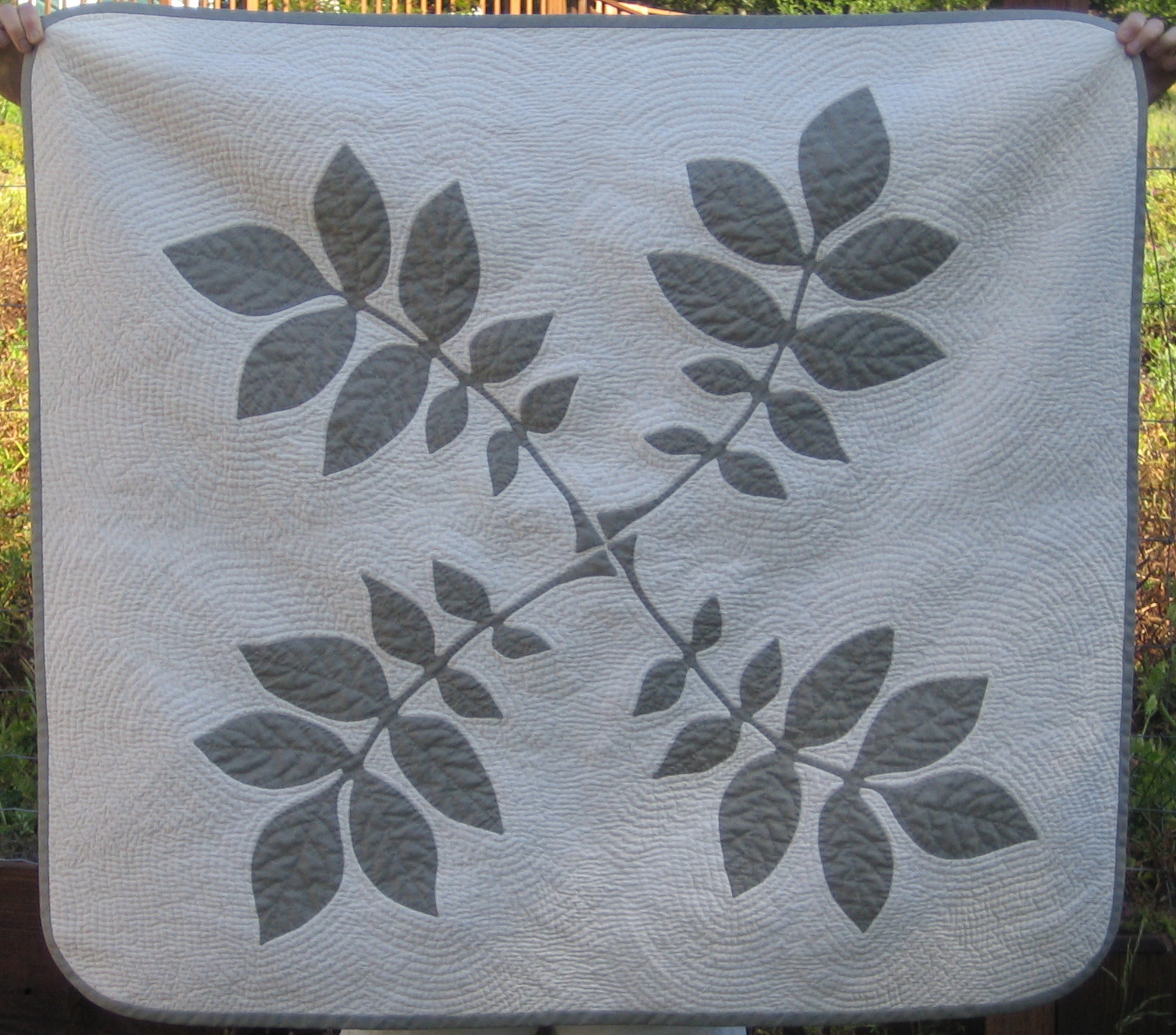 Walnut branches.jpg