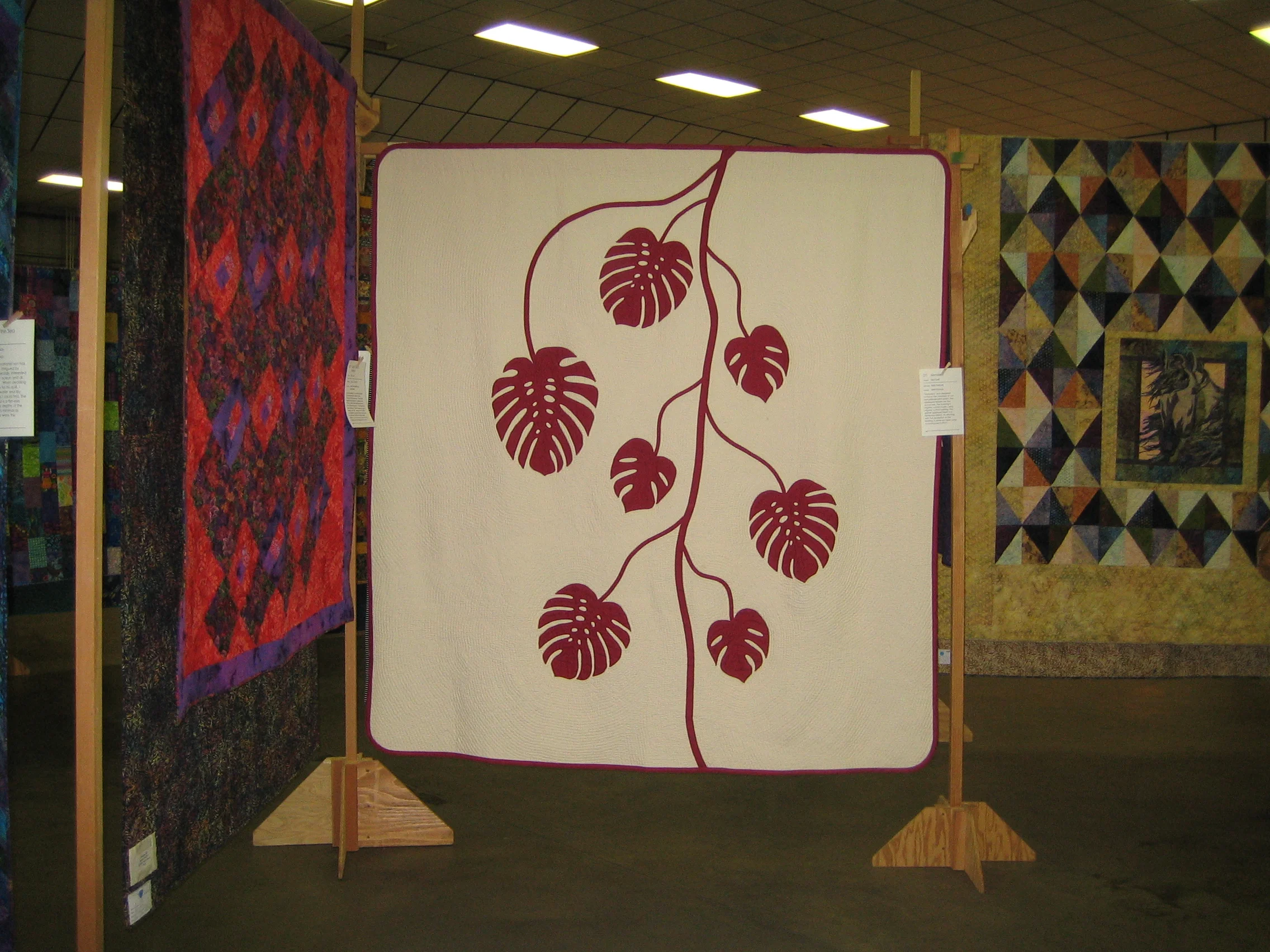 Pajaro Valley Quilt Show-February 2009