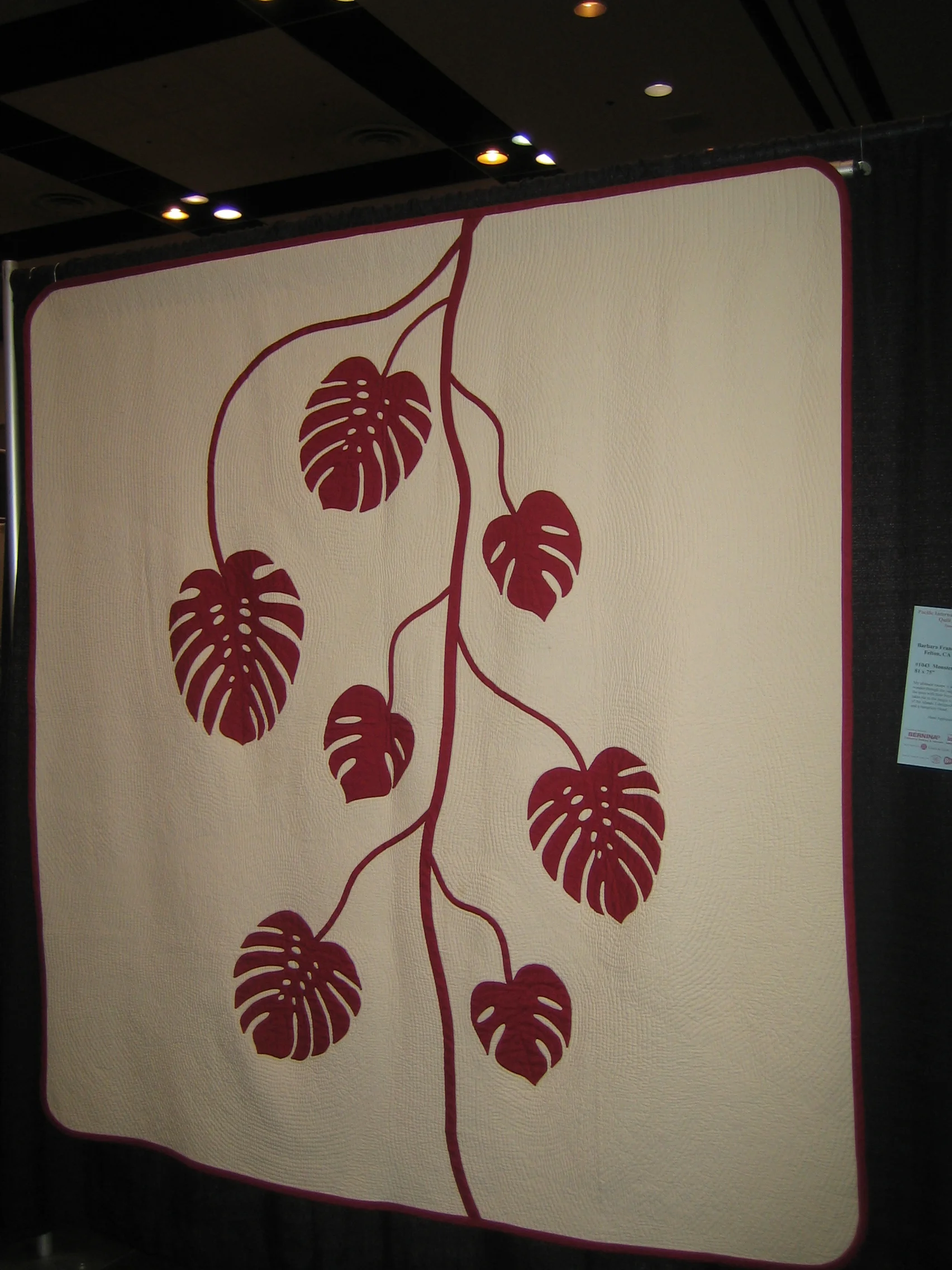 Pacific International Quilt Festival, Santa Clara, CA-October 2010
