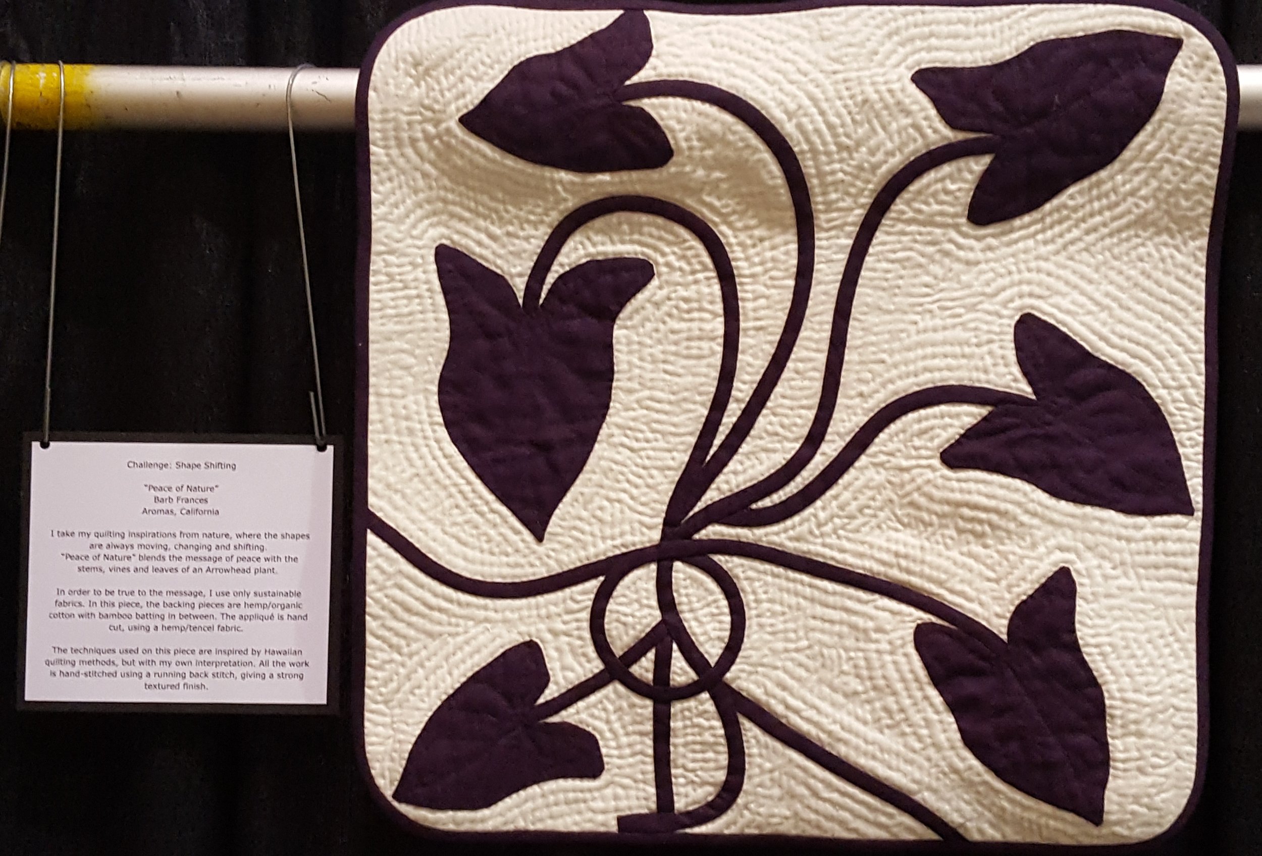 Quilt Challenge for Pacific International Quilt Festival, Santa Clara, CA-October 2016