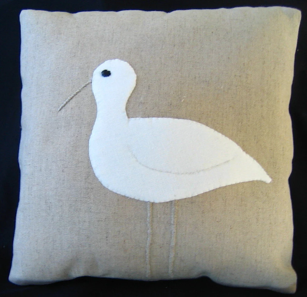 Sand piper on sand background_1.jpg