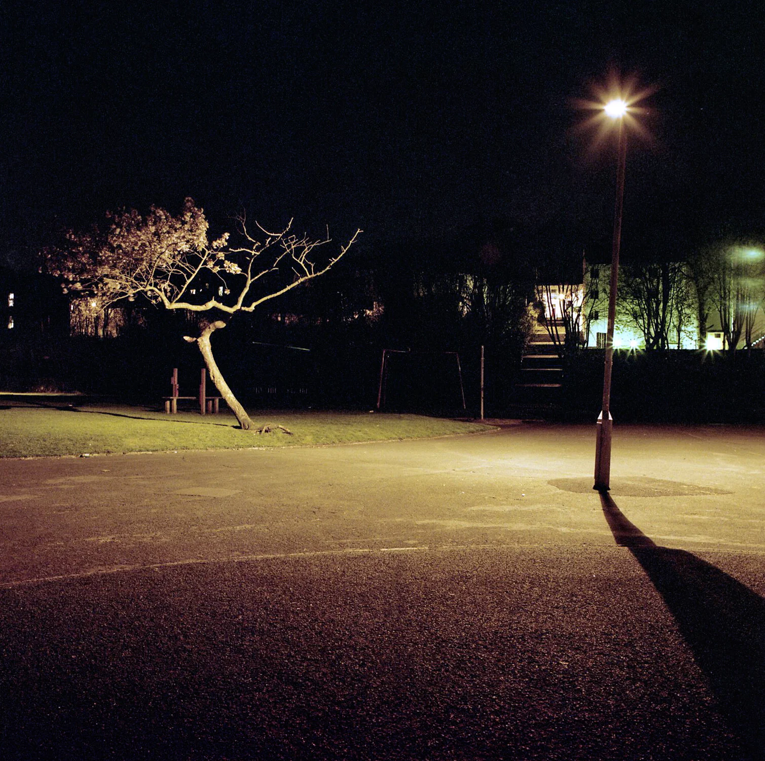 Devonport Park Rape of female