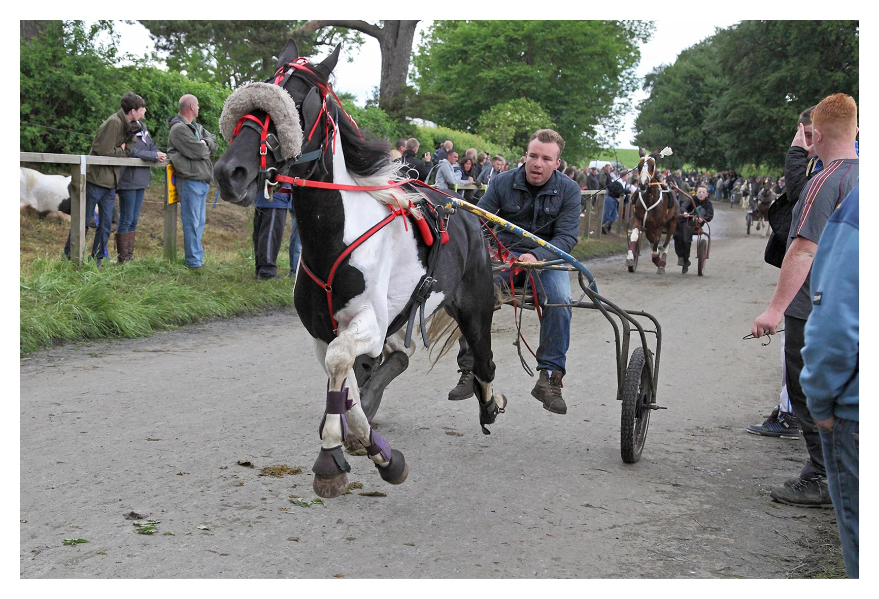 Appleby 2.jpg