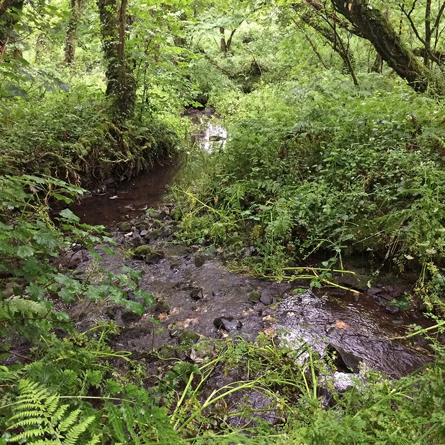 River Tamar - Between West and East Youlstone, Cornwall