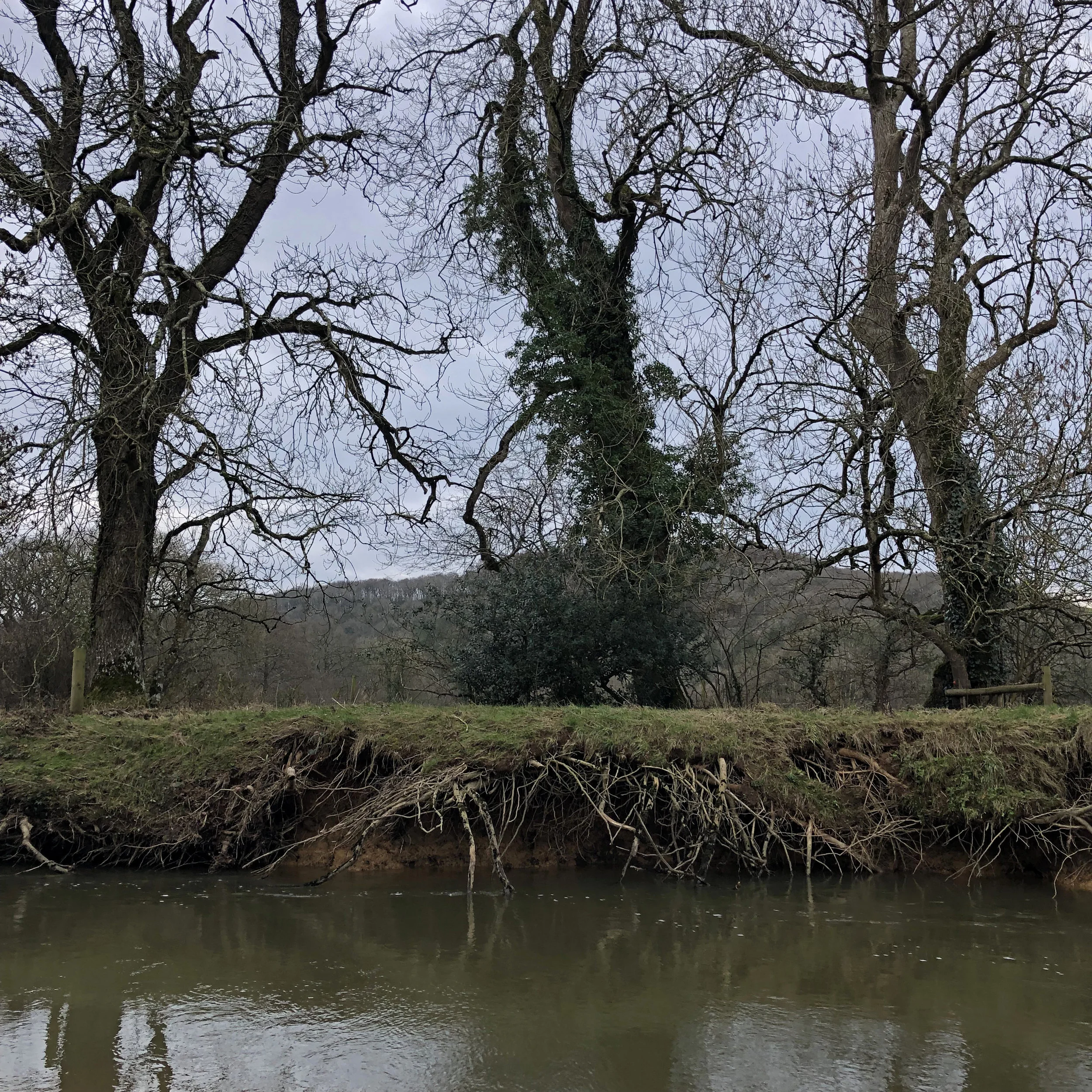  Tamar - Boyton - Devon 