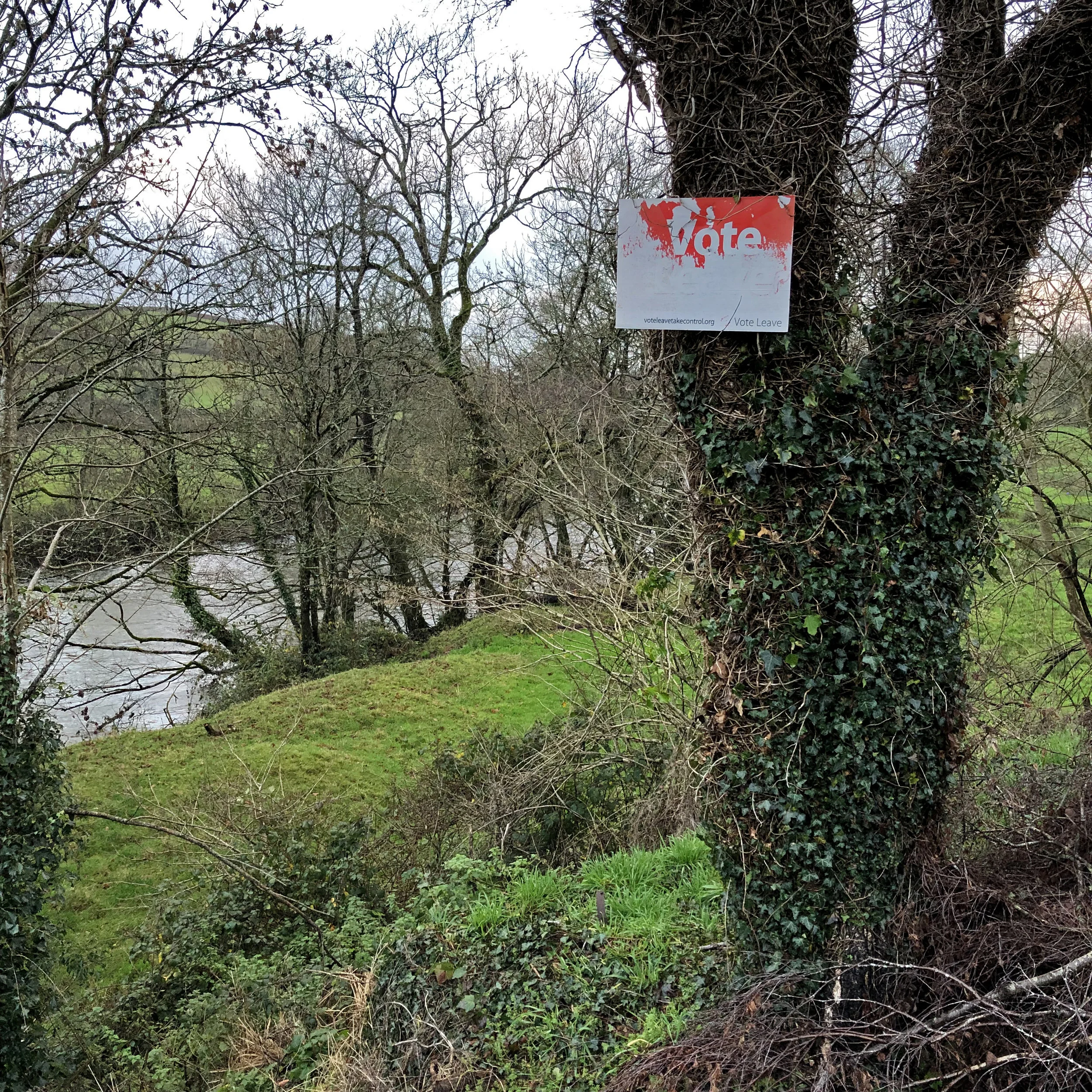  Tamar - Horsebridge - Devon 