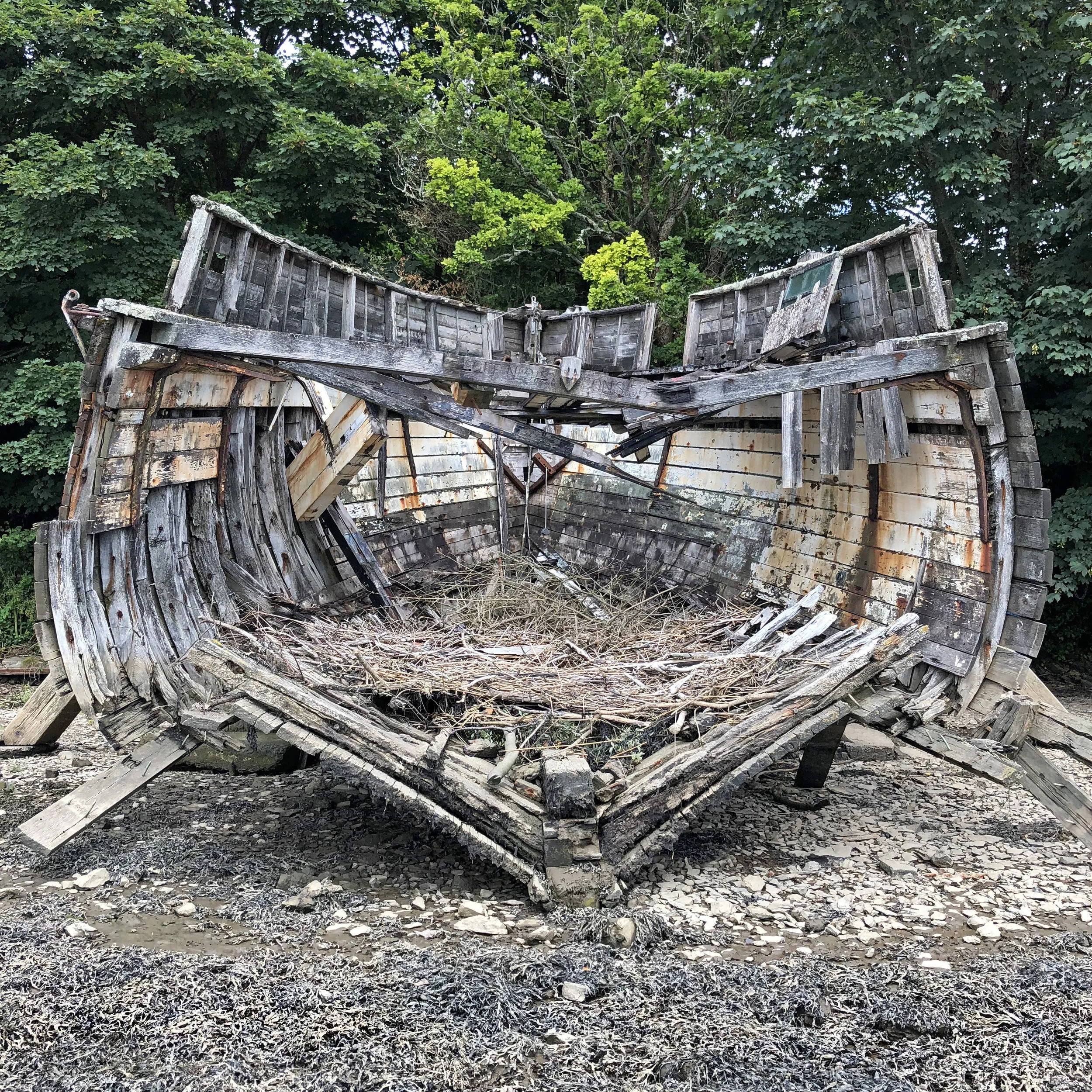  Tamar - Remains of the Merganser - Weir Quay, Devon 