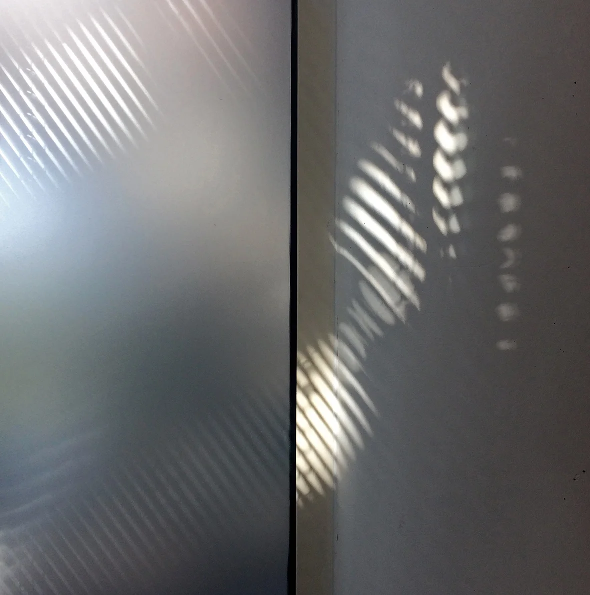 Image 77.jpg