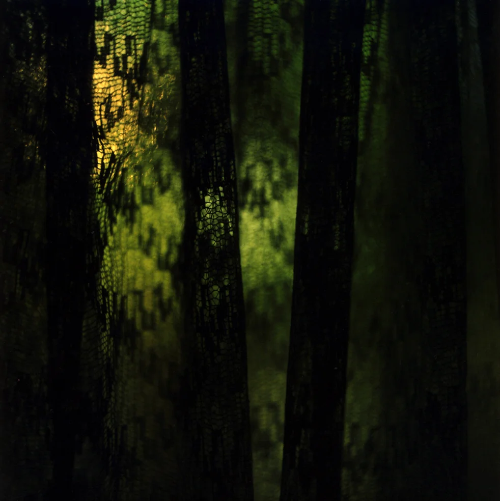 JM Bail 60 - Curtain 5.jpg