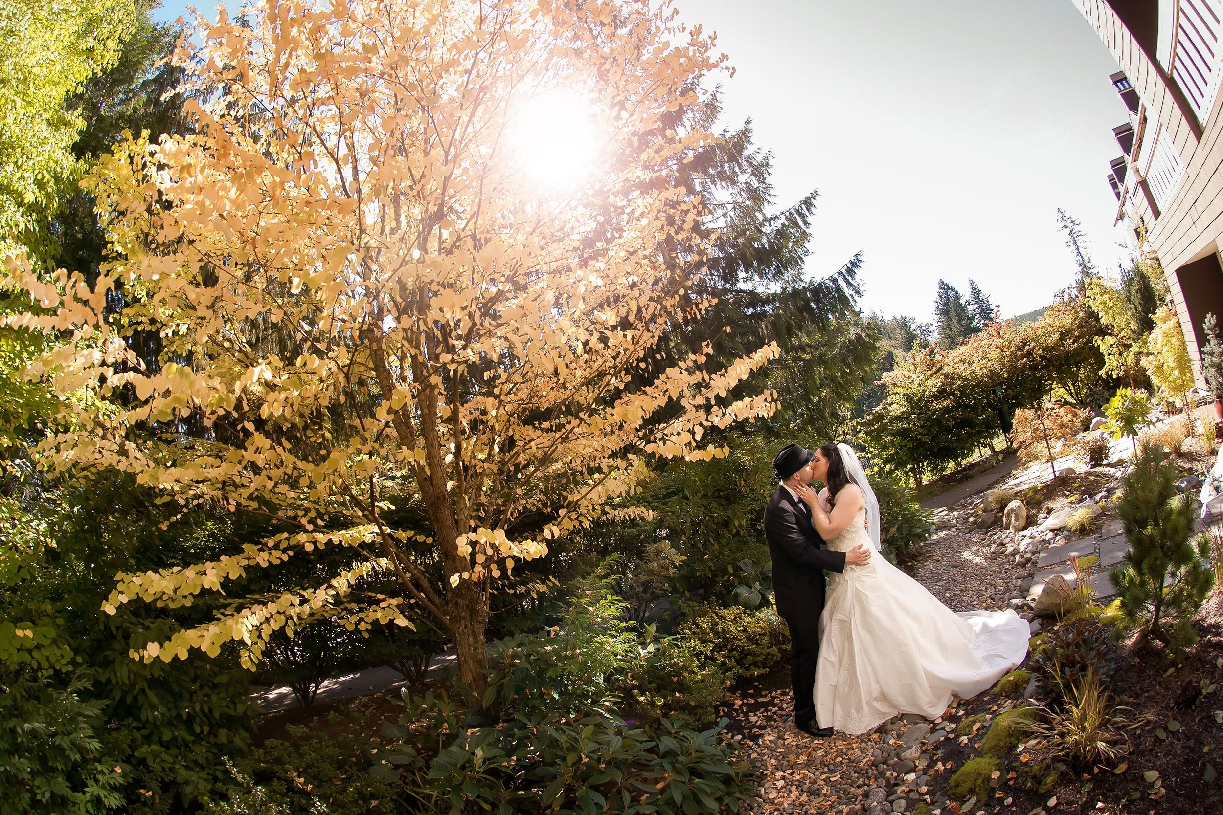 Bride & Groom Kiss by Tree.jpg