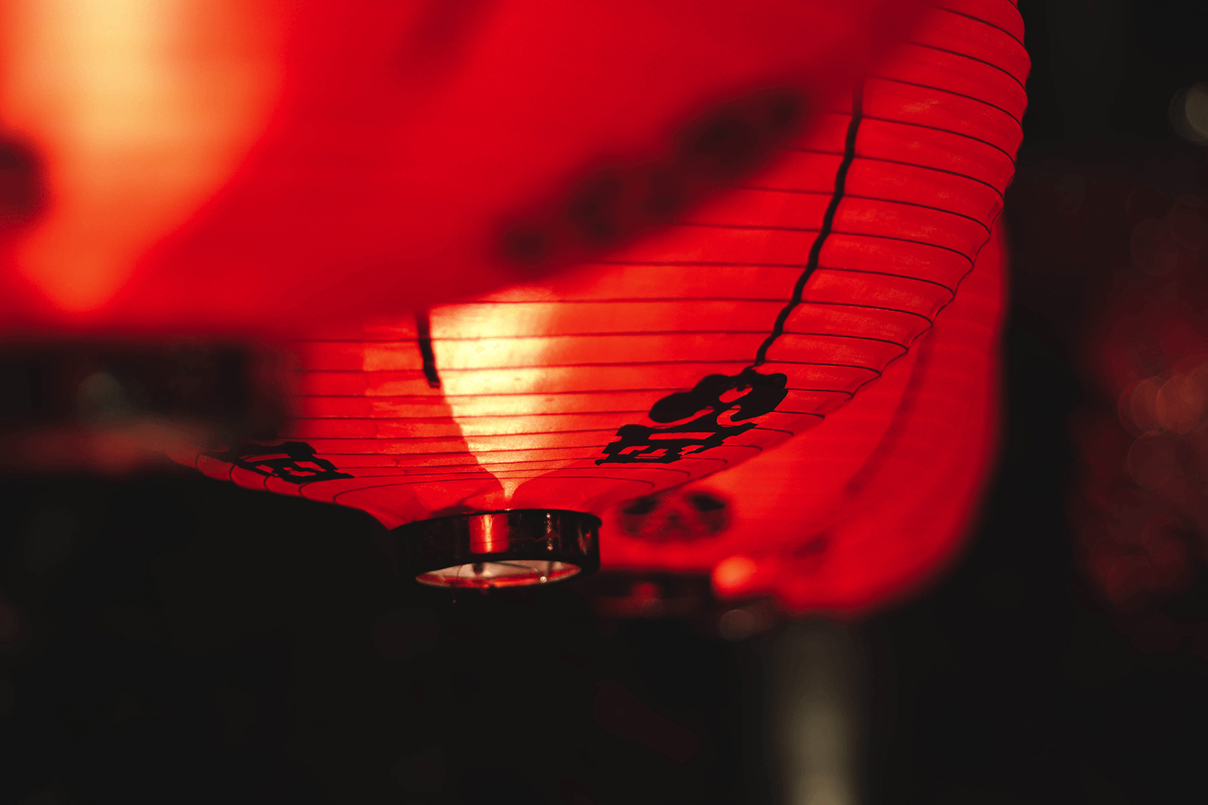 hreaw-463972-unsplash_smaller.png
