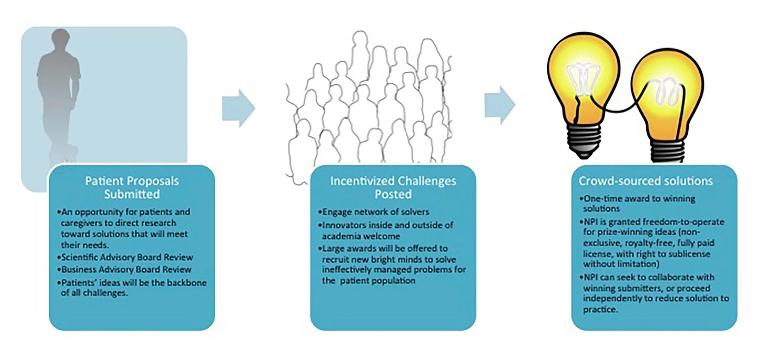  The Process: patient-driven open innovation.
