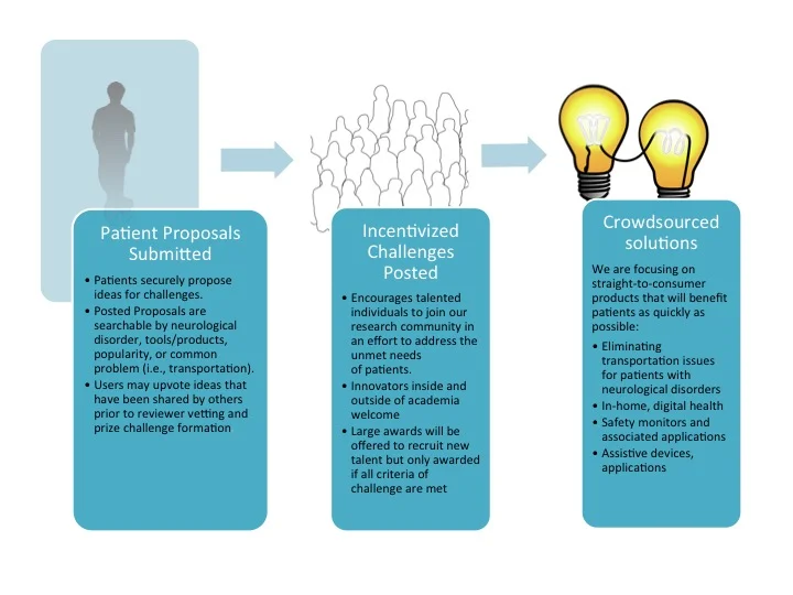  The Process: patient-driven open innovation.