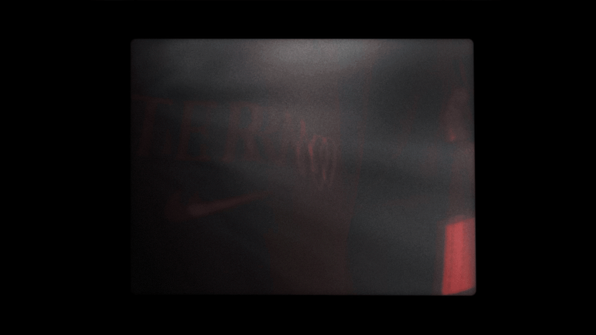 AYRTON-SENNA---CLIP-05.gif