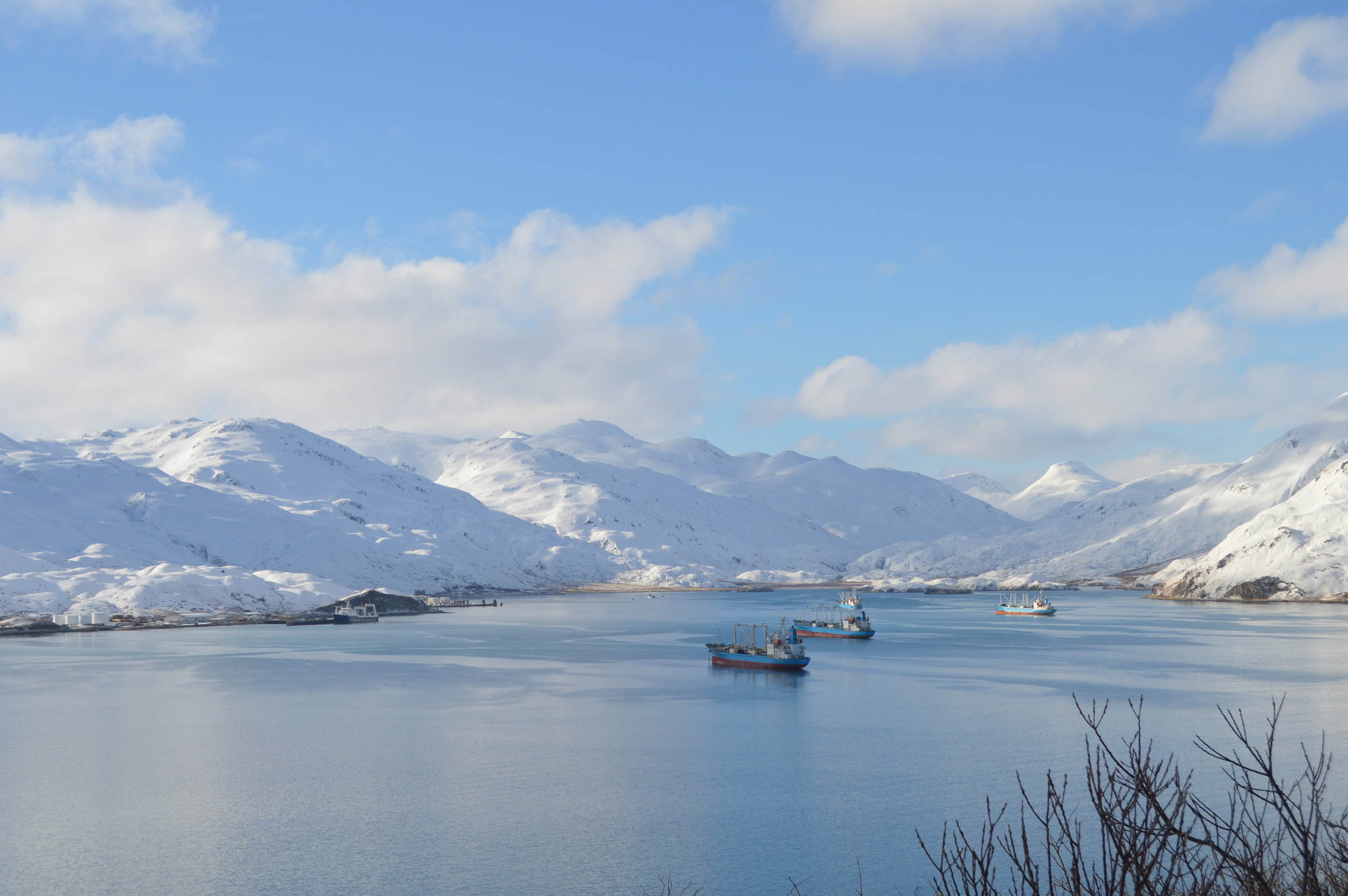 Fishing processing vessels, Westward processing plant in distance