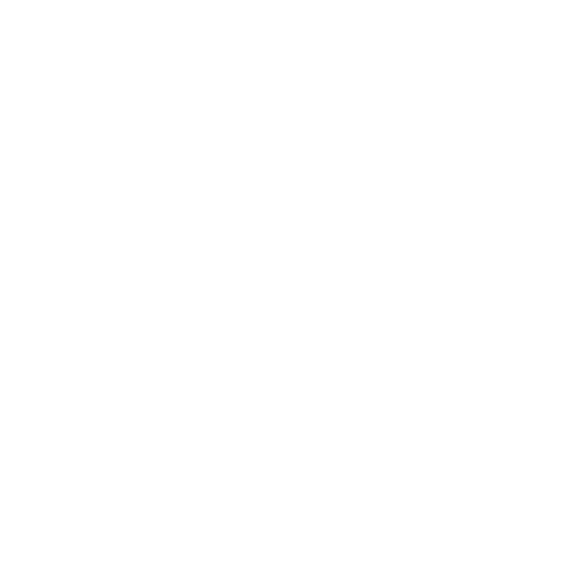 WHITE LOGO.png