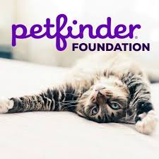 petfinder.png