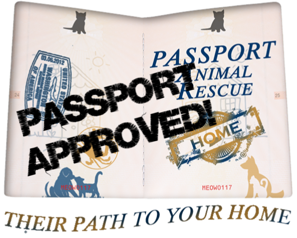 1 Passport Approved.png