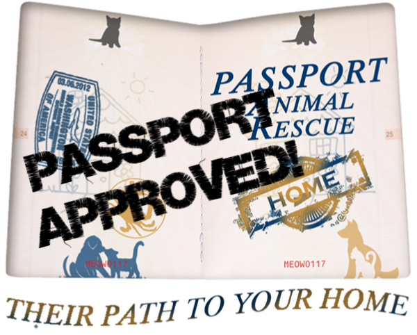 1 Passport Approved.png