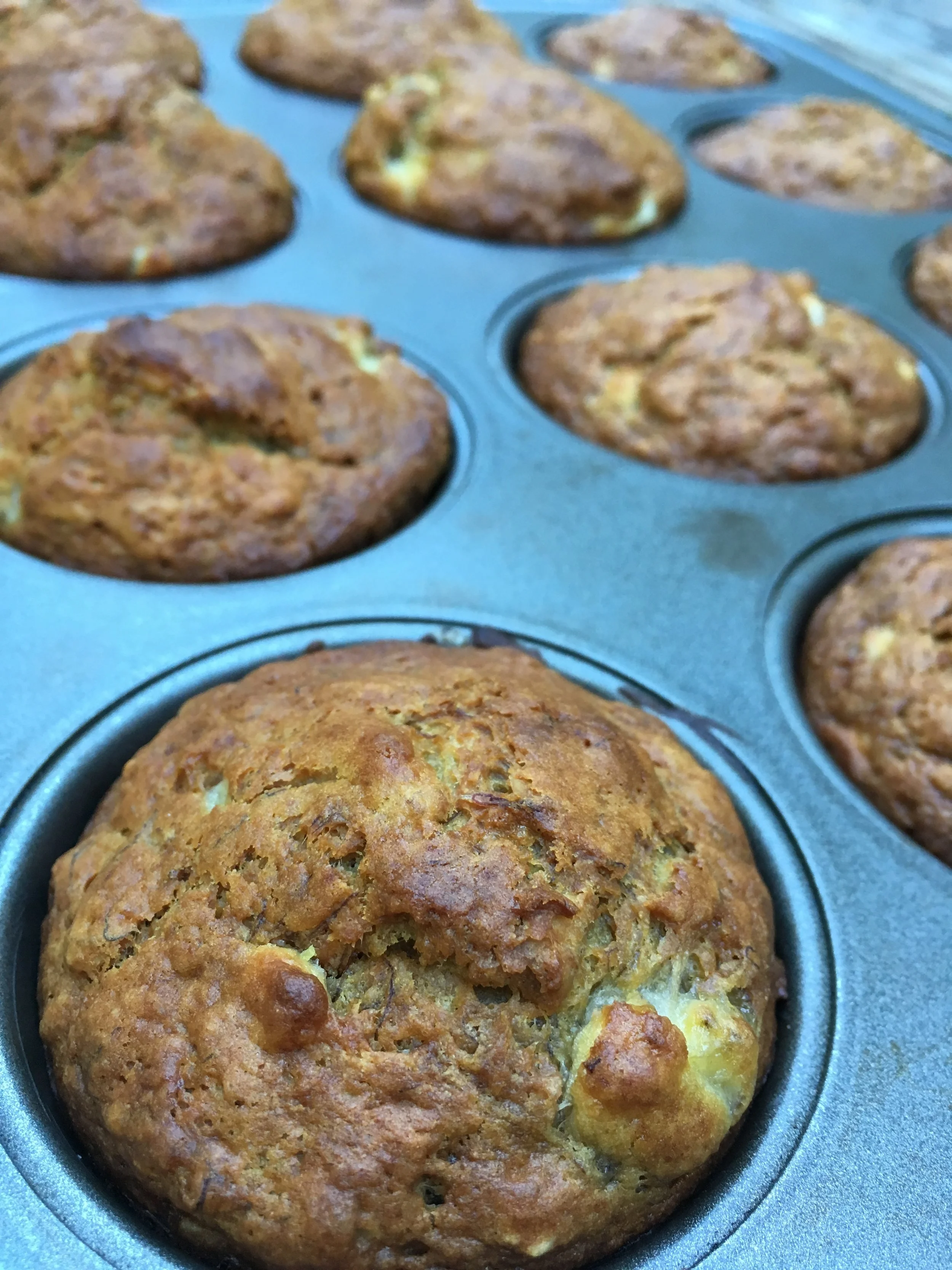 Mighty Muffins:  Blueberry + Oatmeal + Greek Yogurt