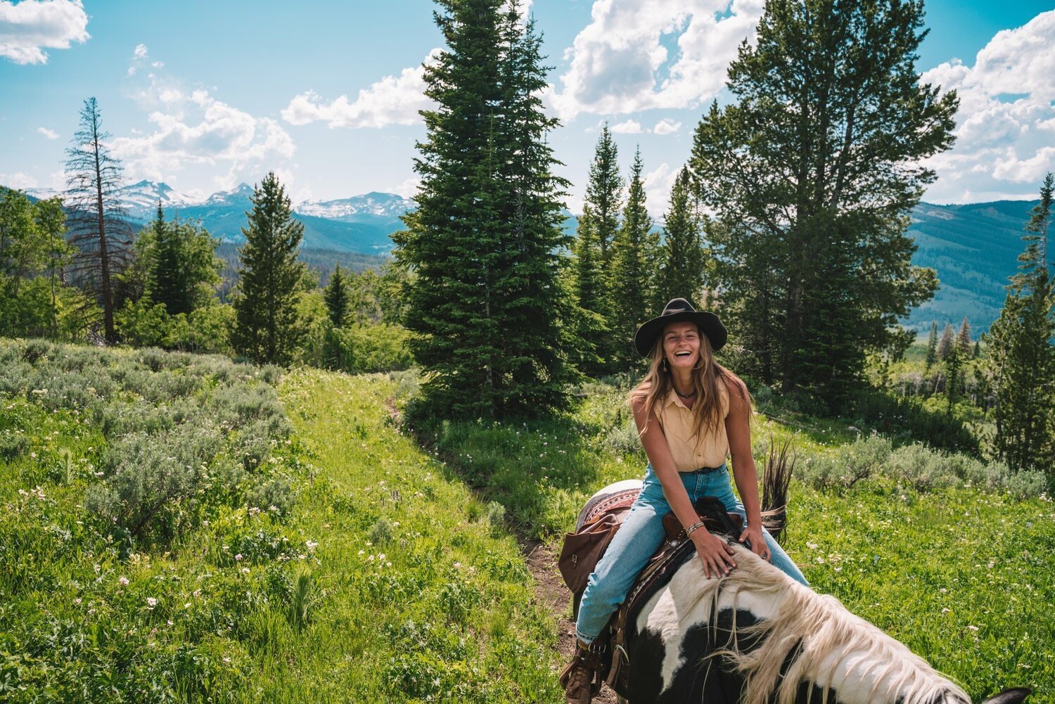 Immerse yourself in the wilderness on guided horseback rides