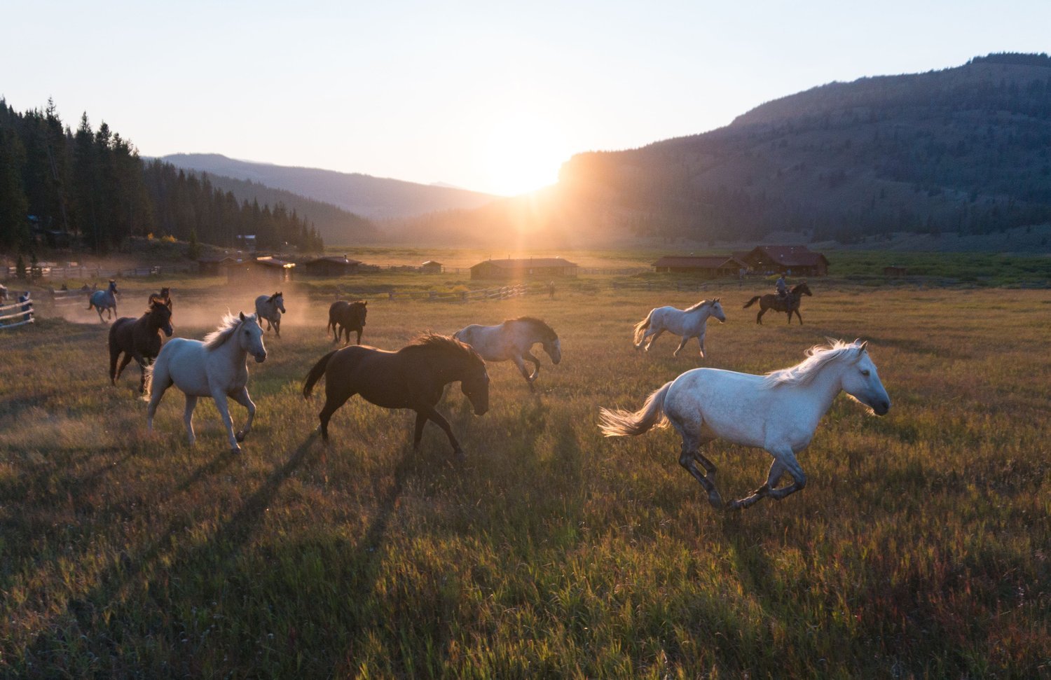 Share in our values as a sustainable ranch resort