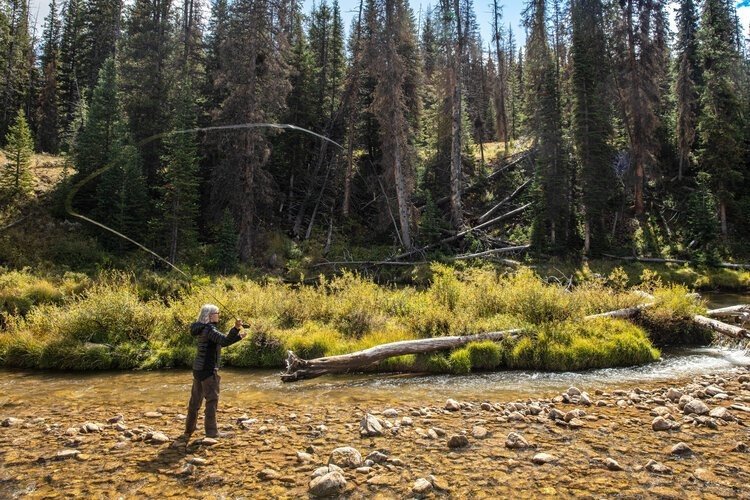 Woman-Casting-While-Fly-Fishing-Upper-Gros-Ventre-River-Wyoming.jpeg