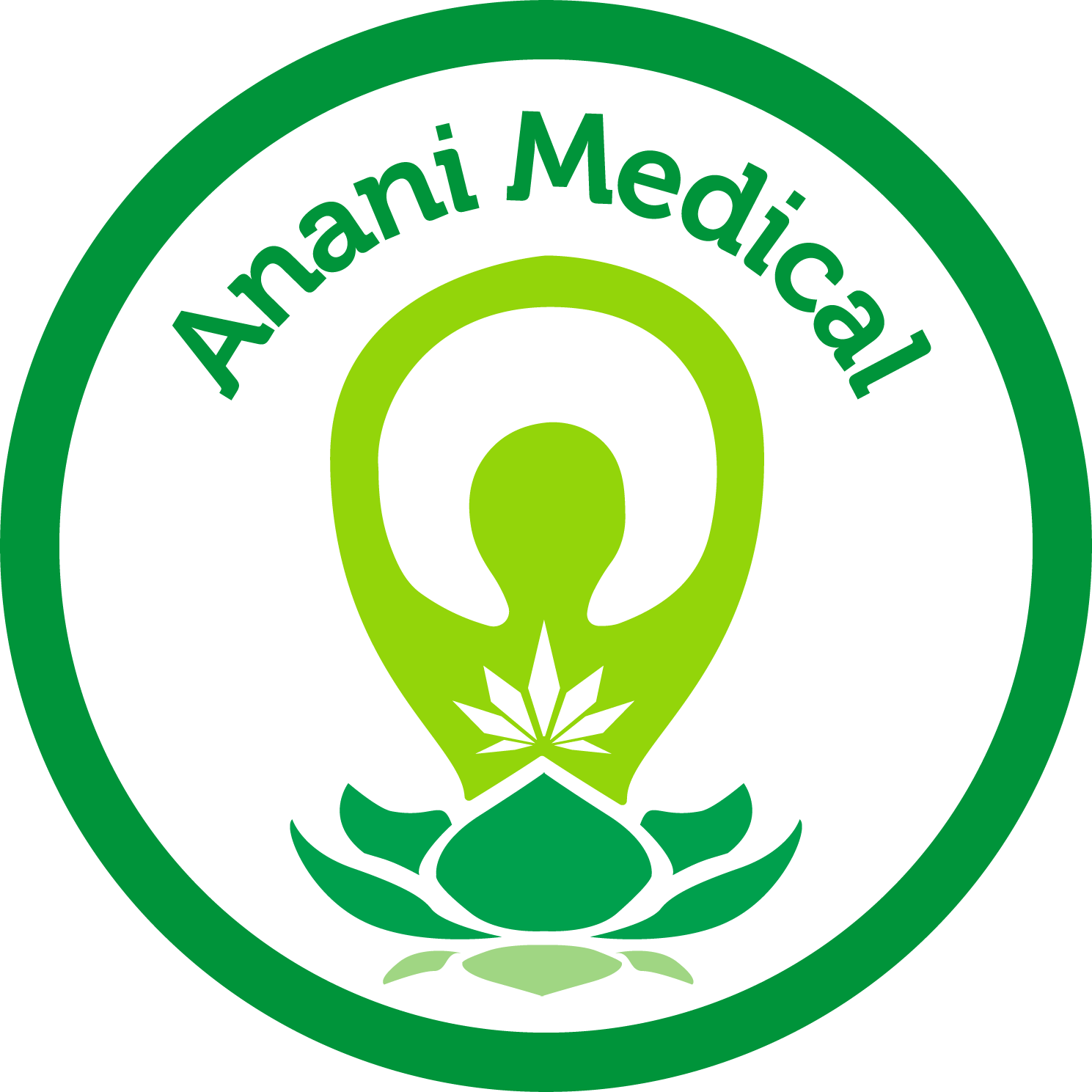 Case Study Anani — BrandStudio