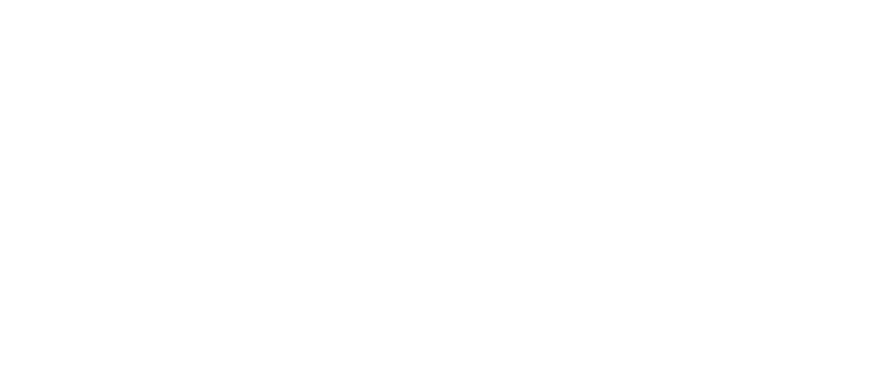 logo bs squarespace.png