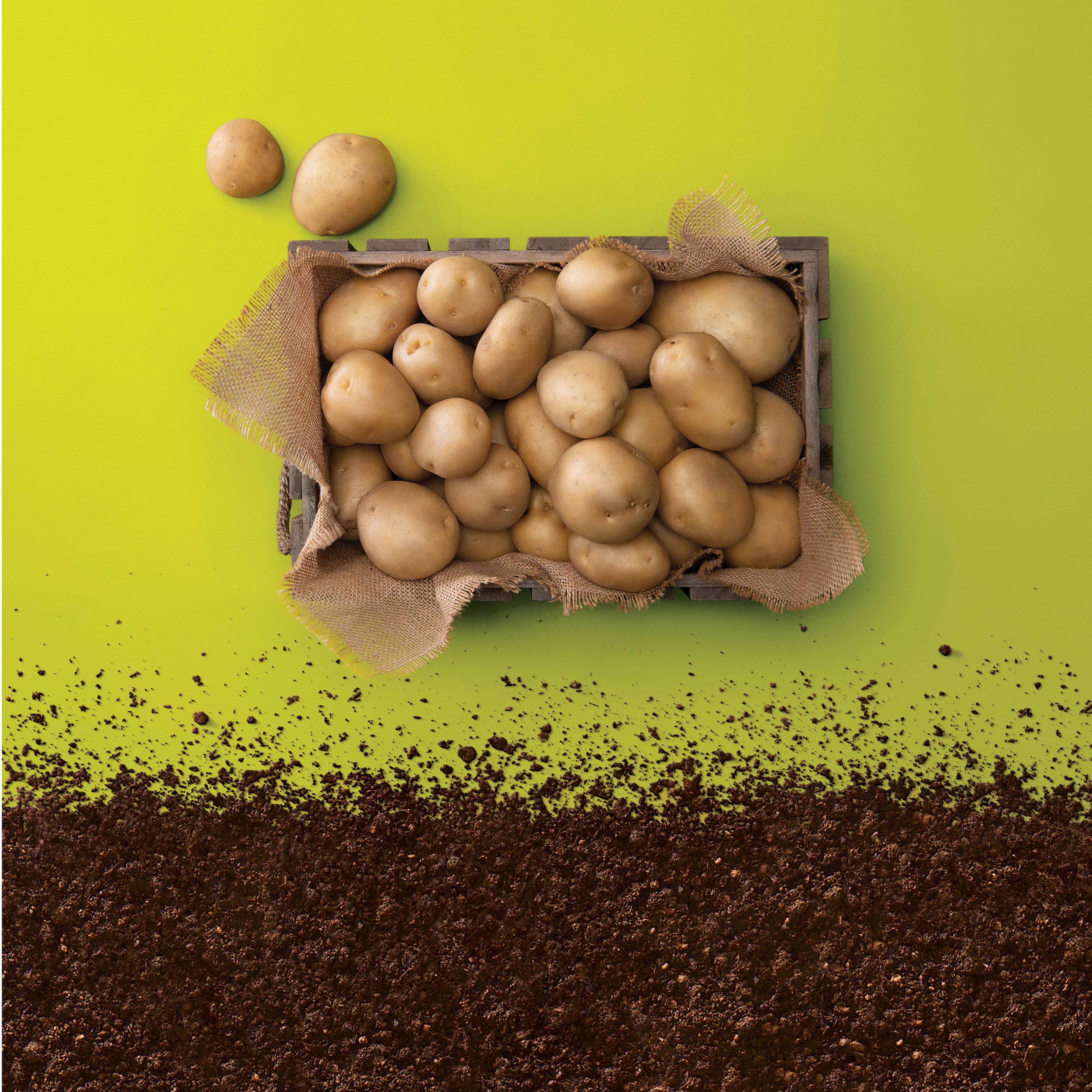 Biozyme_0095-POTATO_COMPOSED_FINAL_PACK copy.jpg