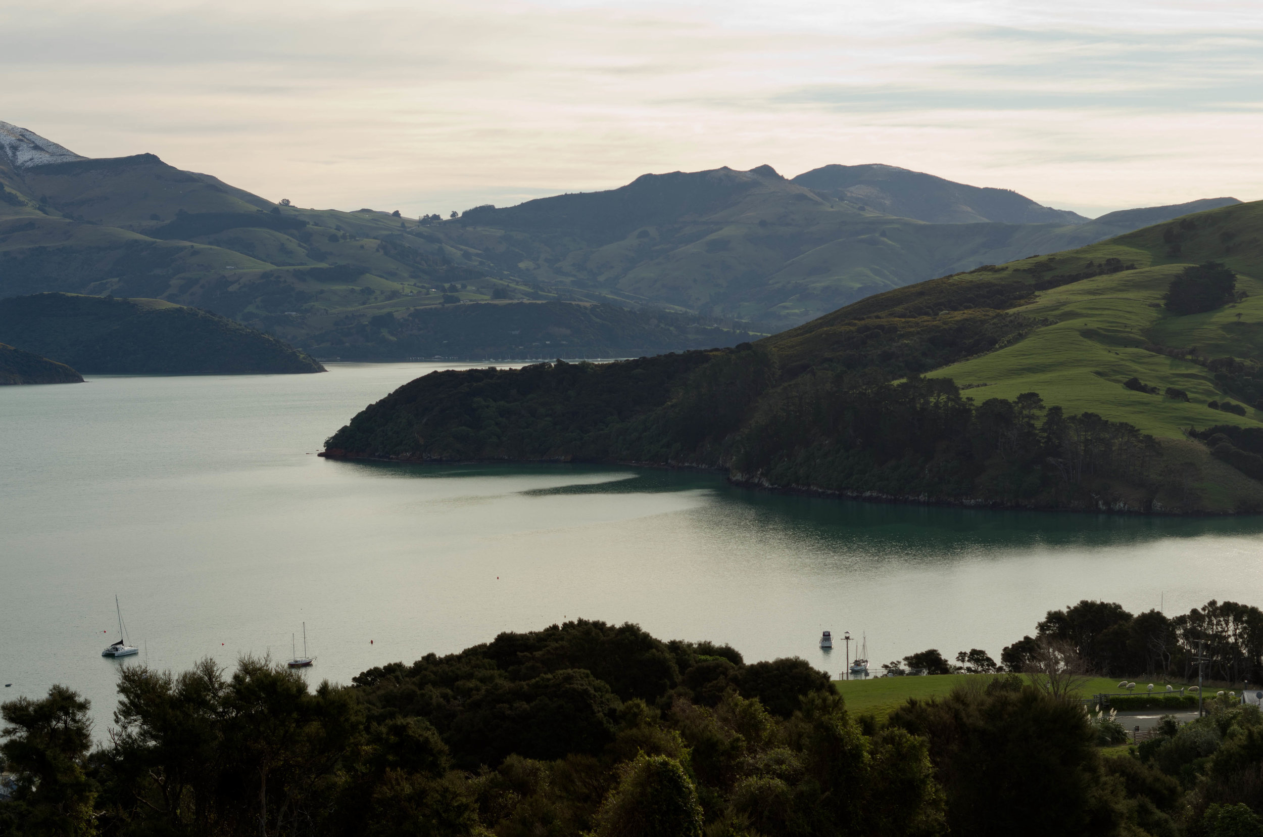 Akaroa, New Zealand