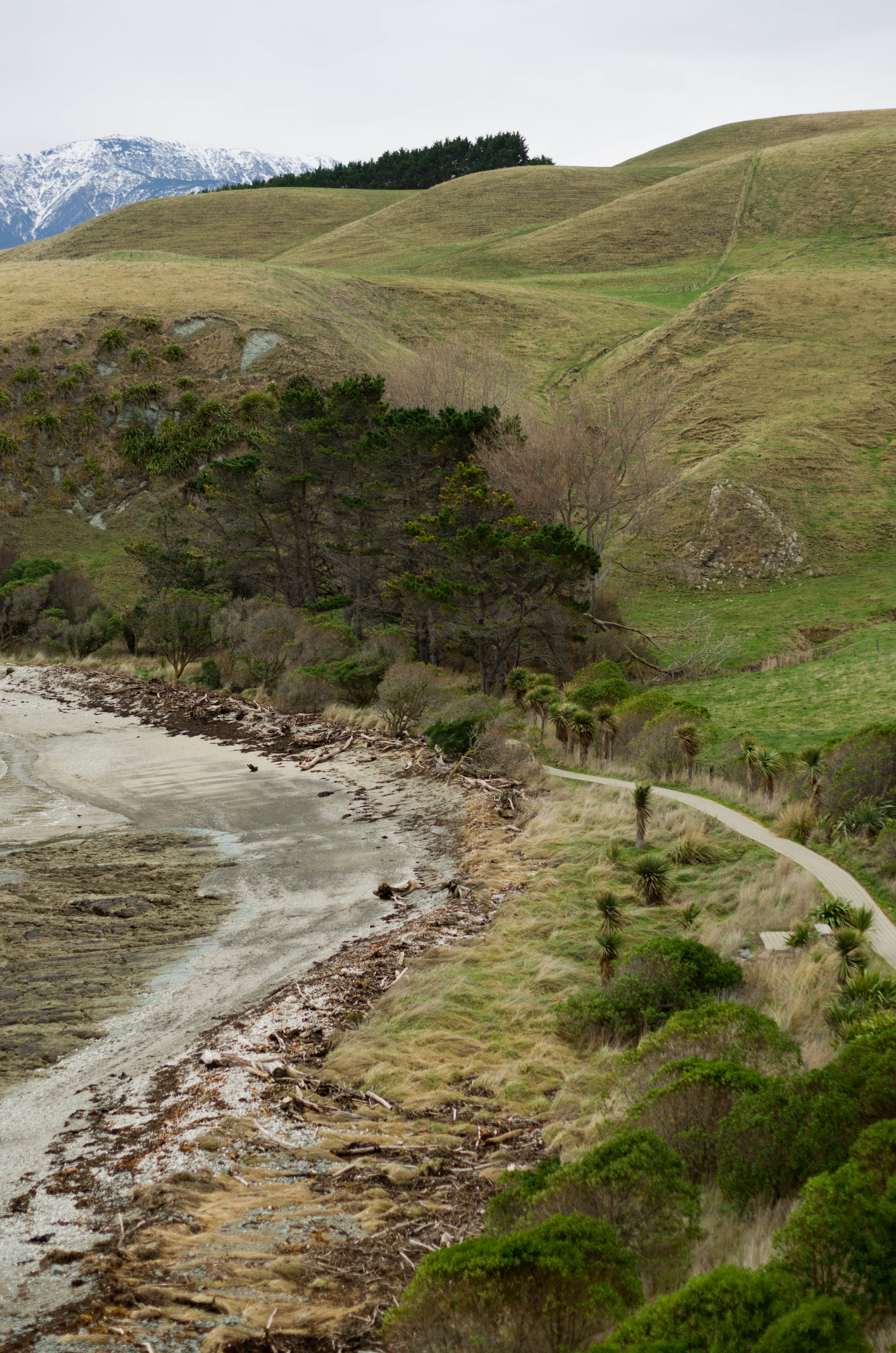 Kaikoura, New Zealand