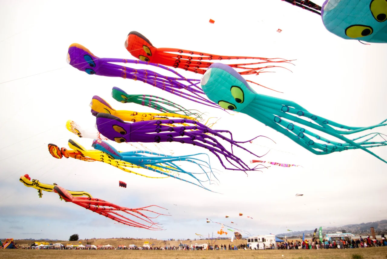Berkeley Kite Festival