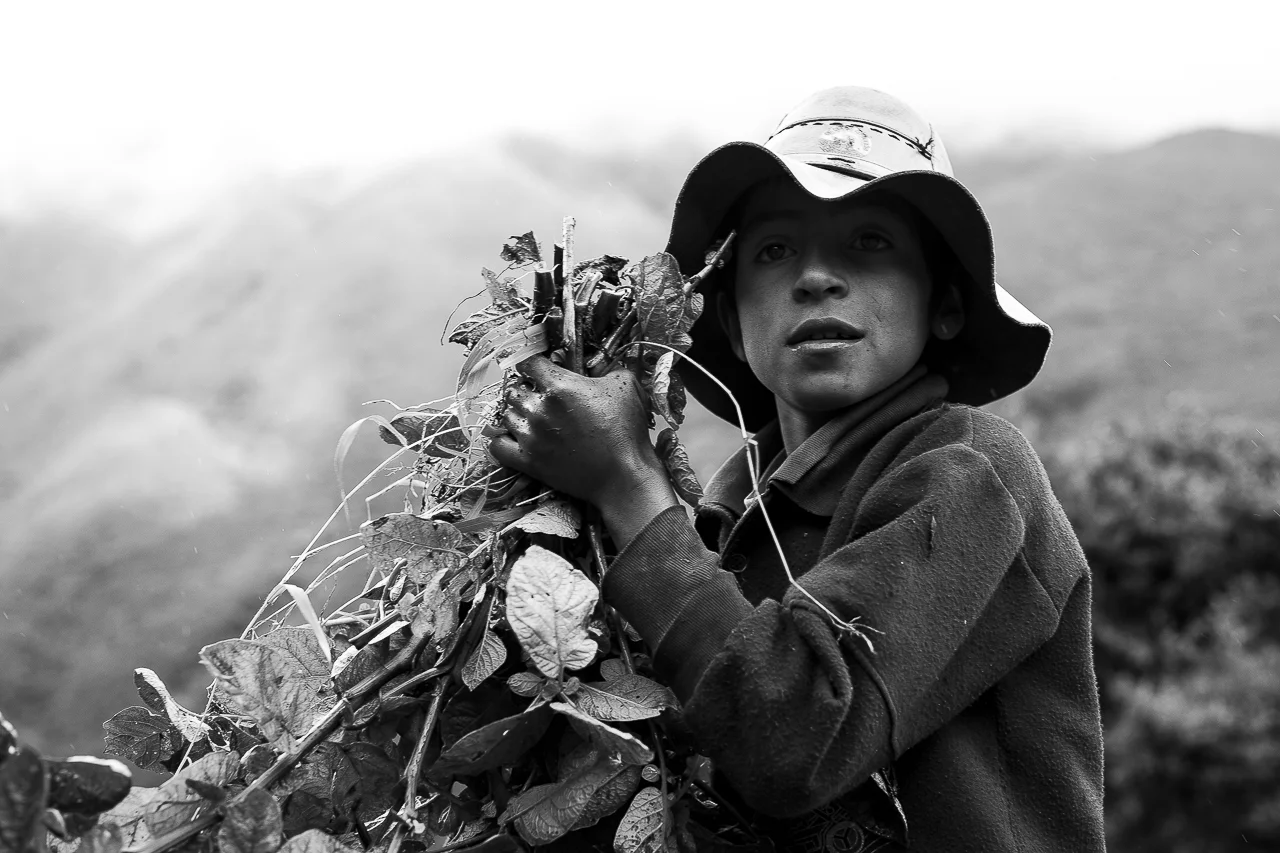 JSPOampliacion-9.jpg