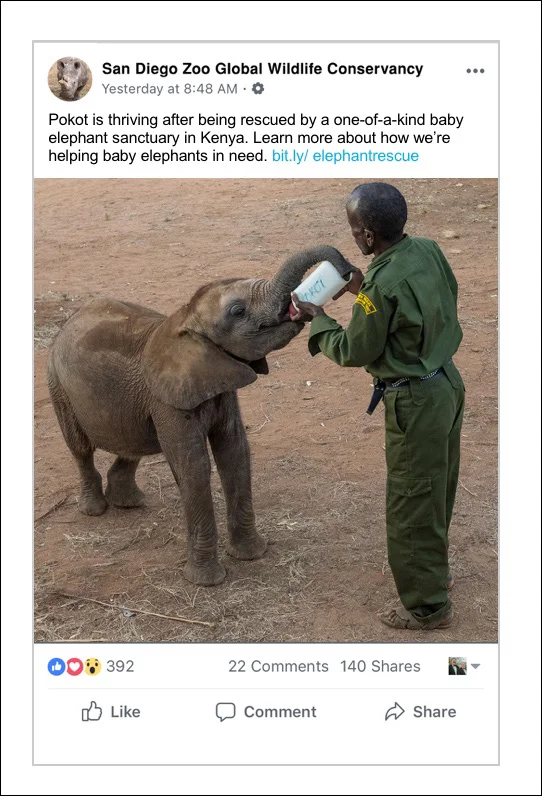 Facebook Boostedborder.jpg