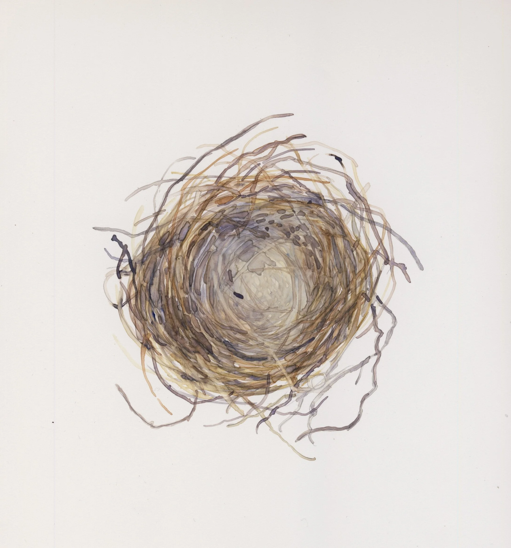  Small Nest, 2019, 7 X 7” (Sold) 