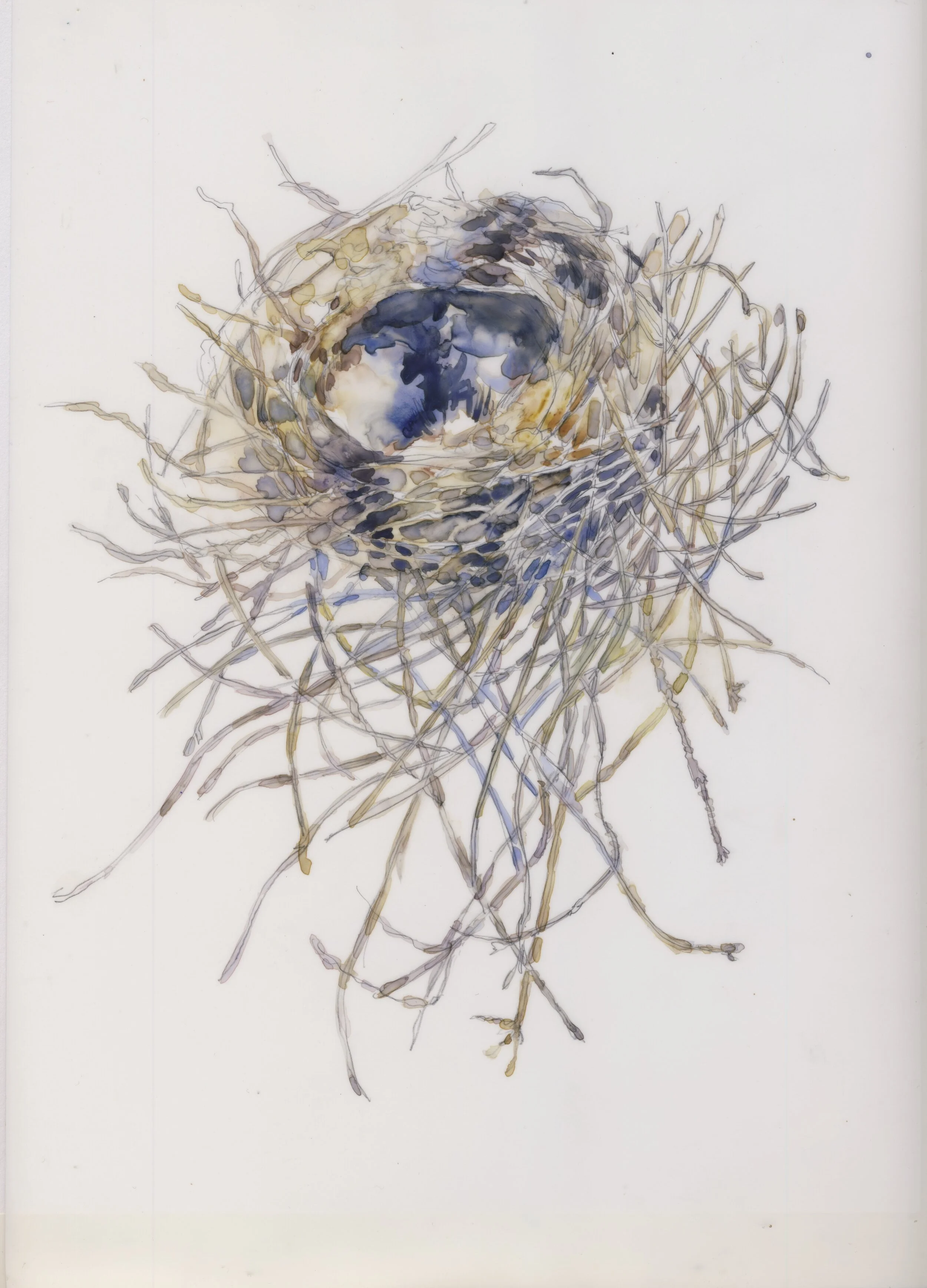  Gray Jay Nest (lined with down), 2019, 9 X 11” 
