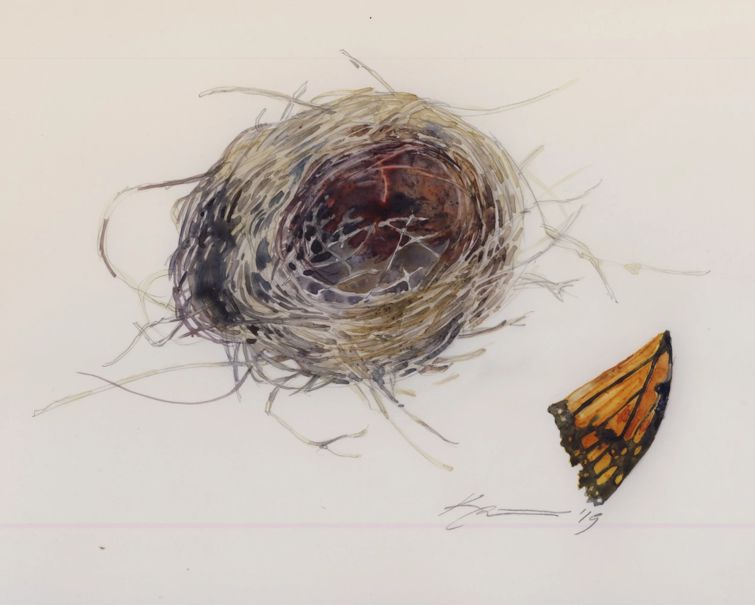  Nest and Monarch Wing, 2019, 10 x 7.5” (Sold) 